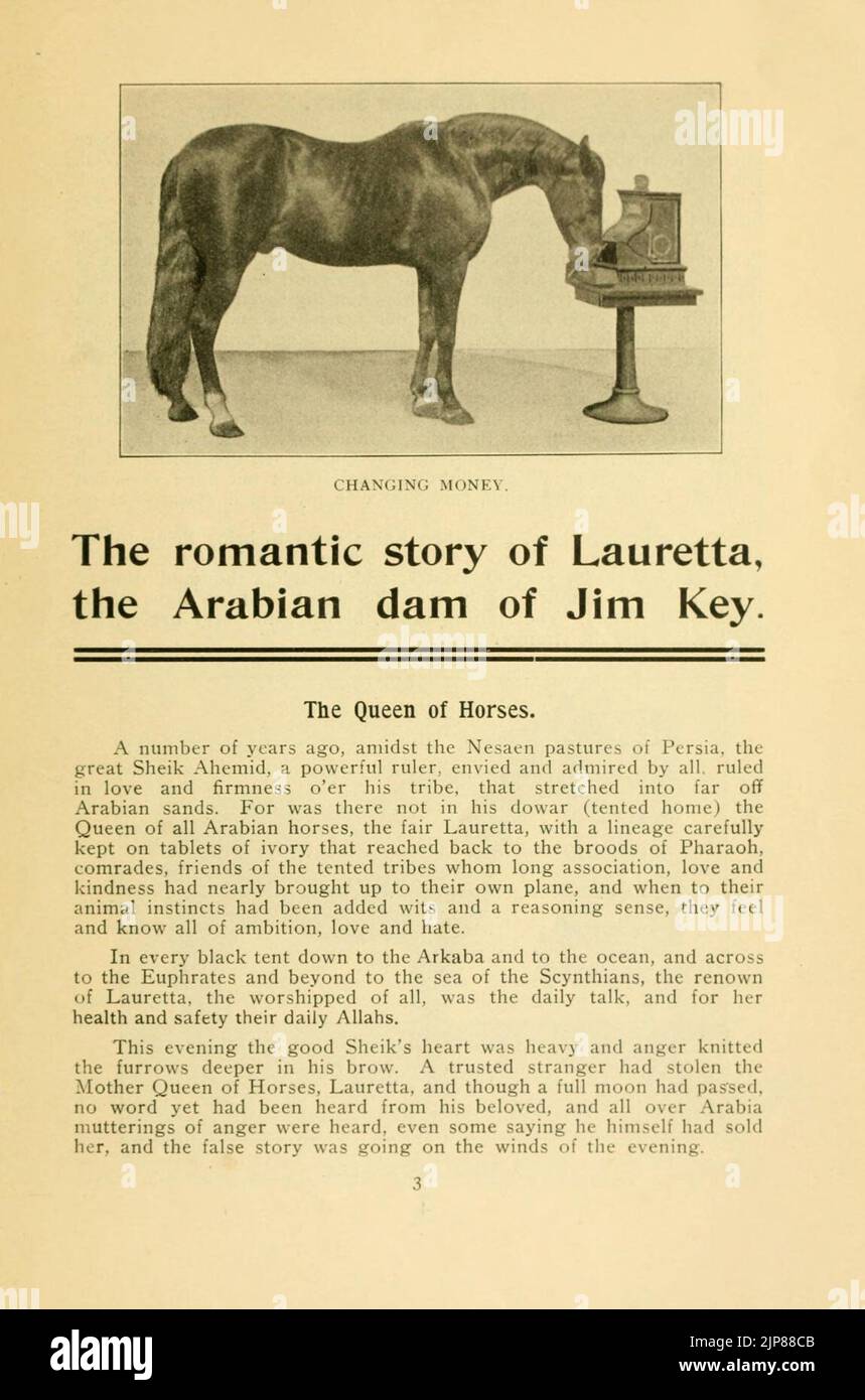 The story of Beautiful Jim Key (Page 3 Stock Photo - Alamy