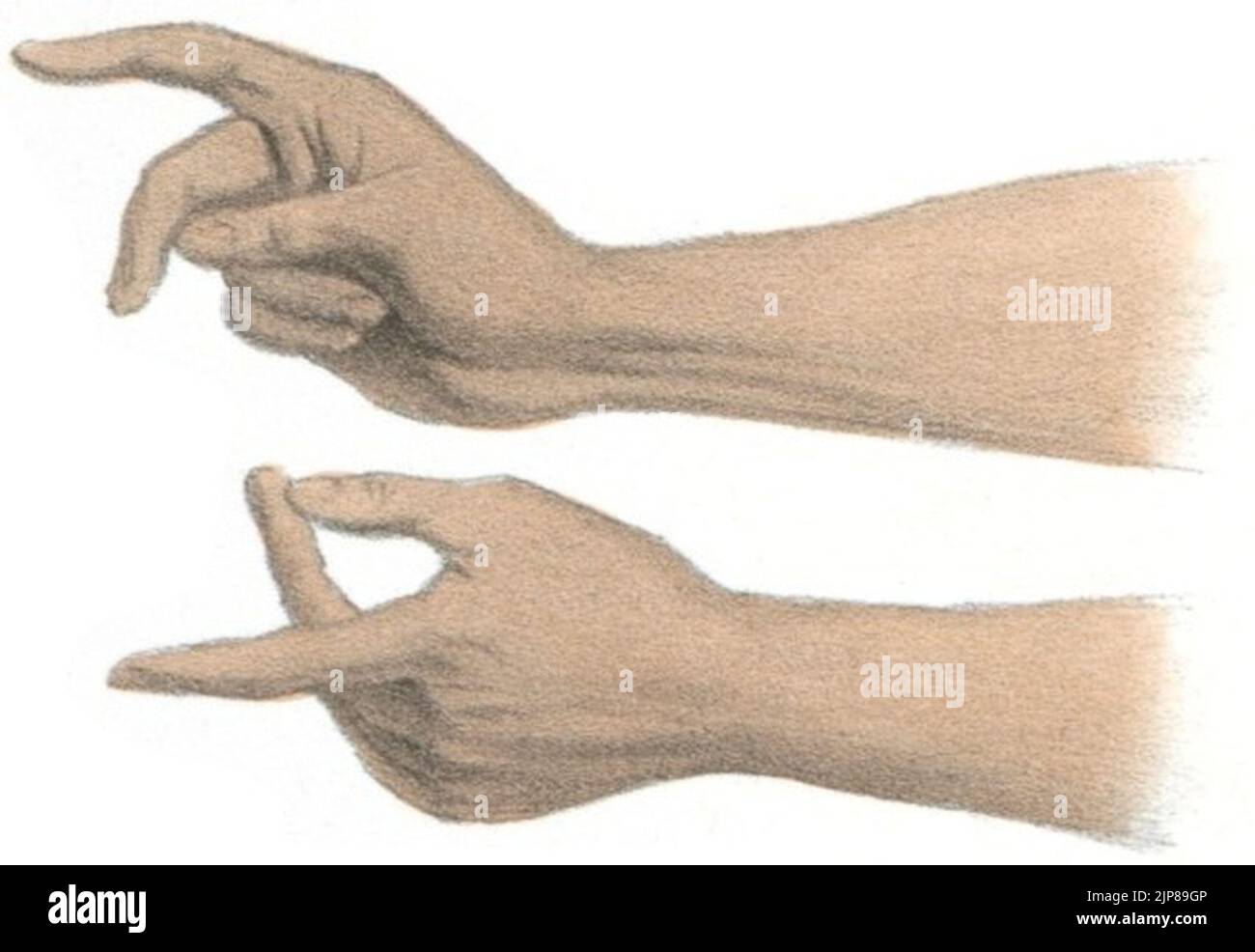 Фига дуля кукиш. Фига кукиш. Фига картинка. Фиг 5. Фиг 5.