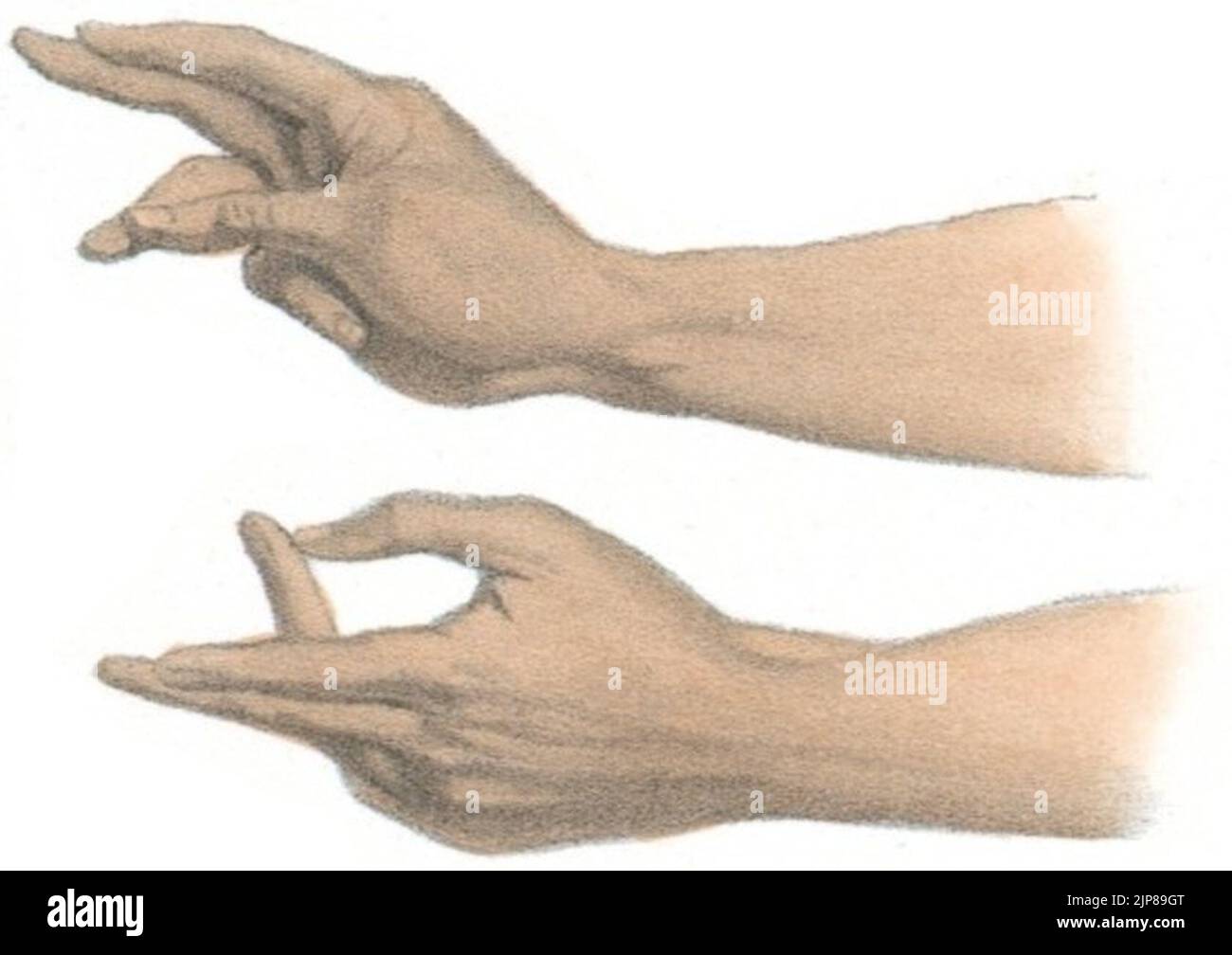 Sundhya The Sundhya Plate 18 Fig 2 Stock Photo - Alamy