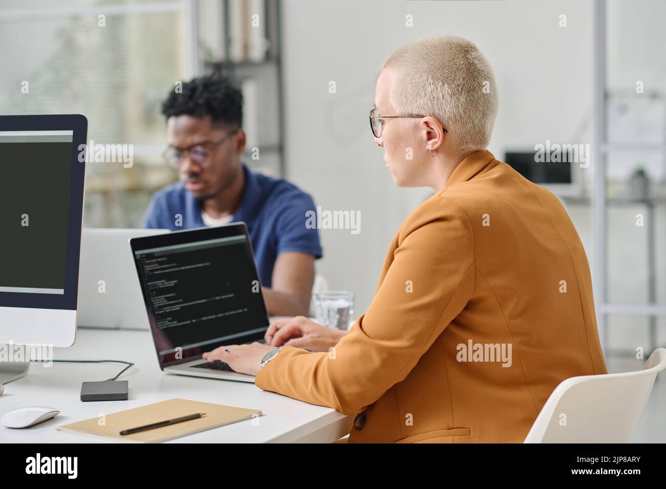 Rear view of mature woman with short hair writing codes on laptop sitting at table at office with her colleagues Stock Photo