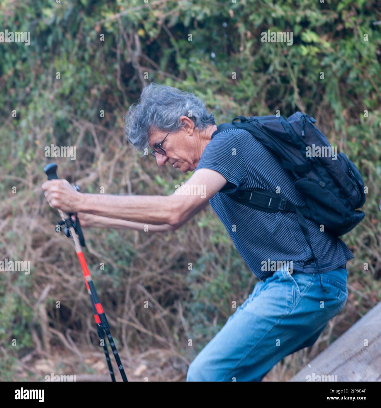 Nordic Hiking active mature man getting up to continue his hike Stock Photo