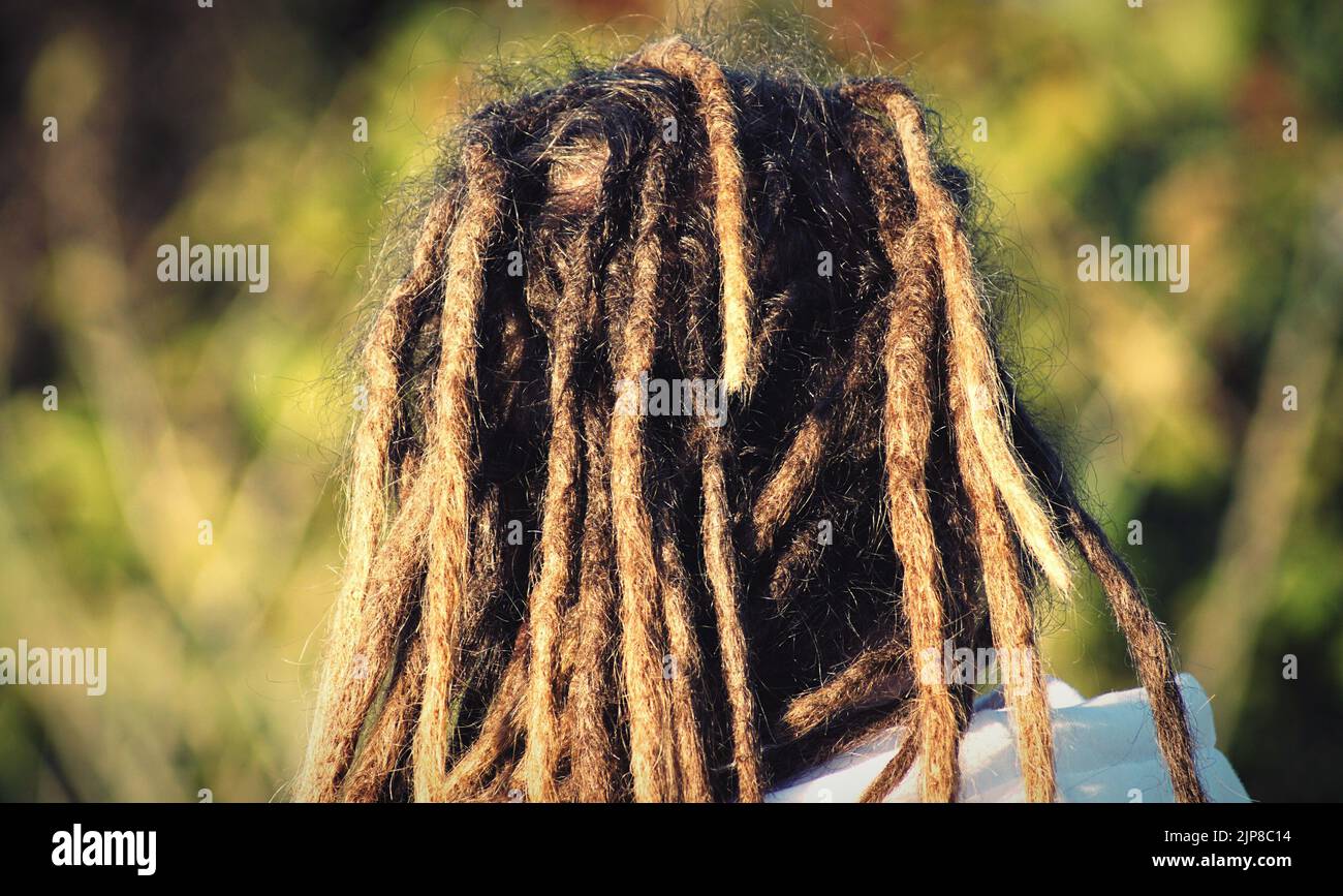 Hair braid afro hi-res stock photography and images - Alamy