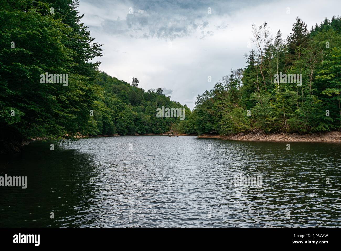 The river running through the forest trees under the cloudy sky Stock ...