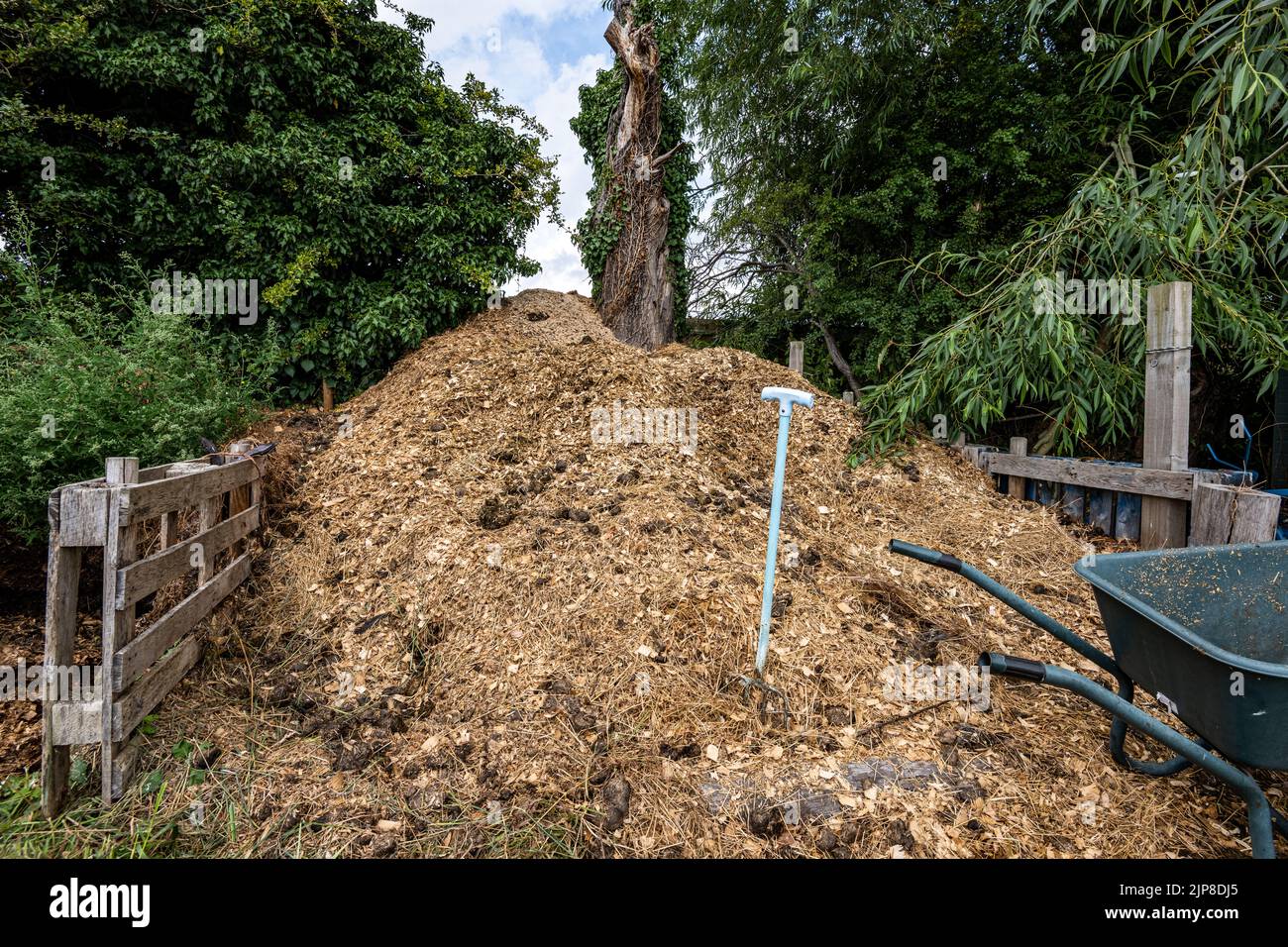 A large pile of horse poo, turning in manure, Tickhiil, South Yorkshire, UK Stock Photo