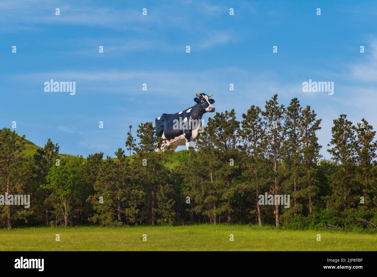 New Salem, ND, USA Jun 19, 2022 Salem Sue, the World's Largest