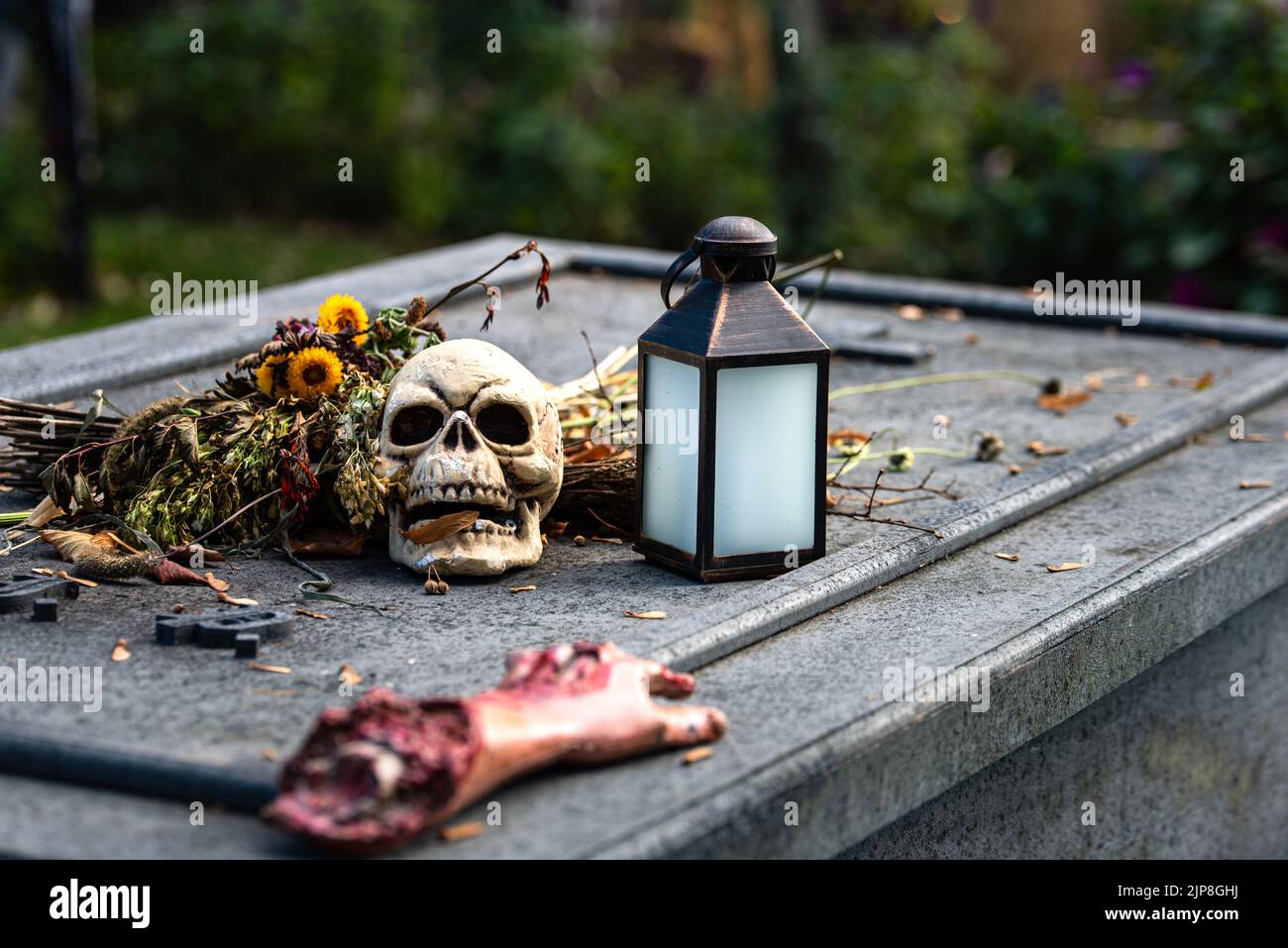 Spooky or horrific halloween representation with fake skull and hand limb on a grave. Horror picture with fake body parts lying on a grey tombstone Stock Photo