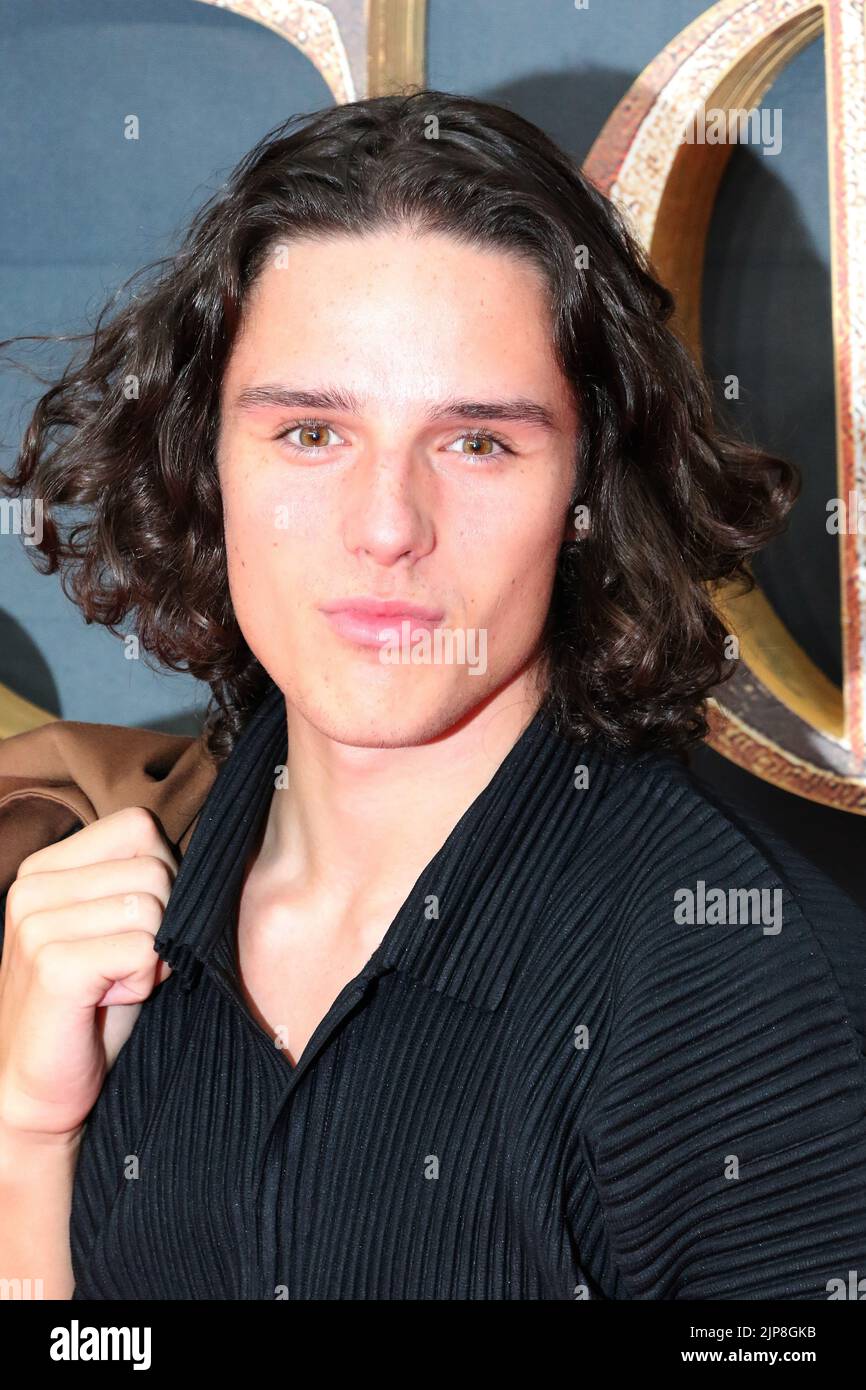 Harry Collett, Game of Thrones House of the Dragon World Premiere