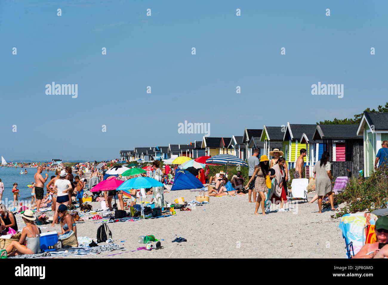 Skanör beach packed with people on a hot summer day. Crowd of people on a Swedish strand shows how climate is getting hotter in northern Europe Stock Photo