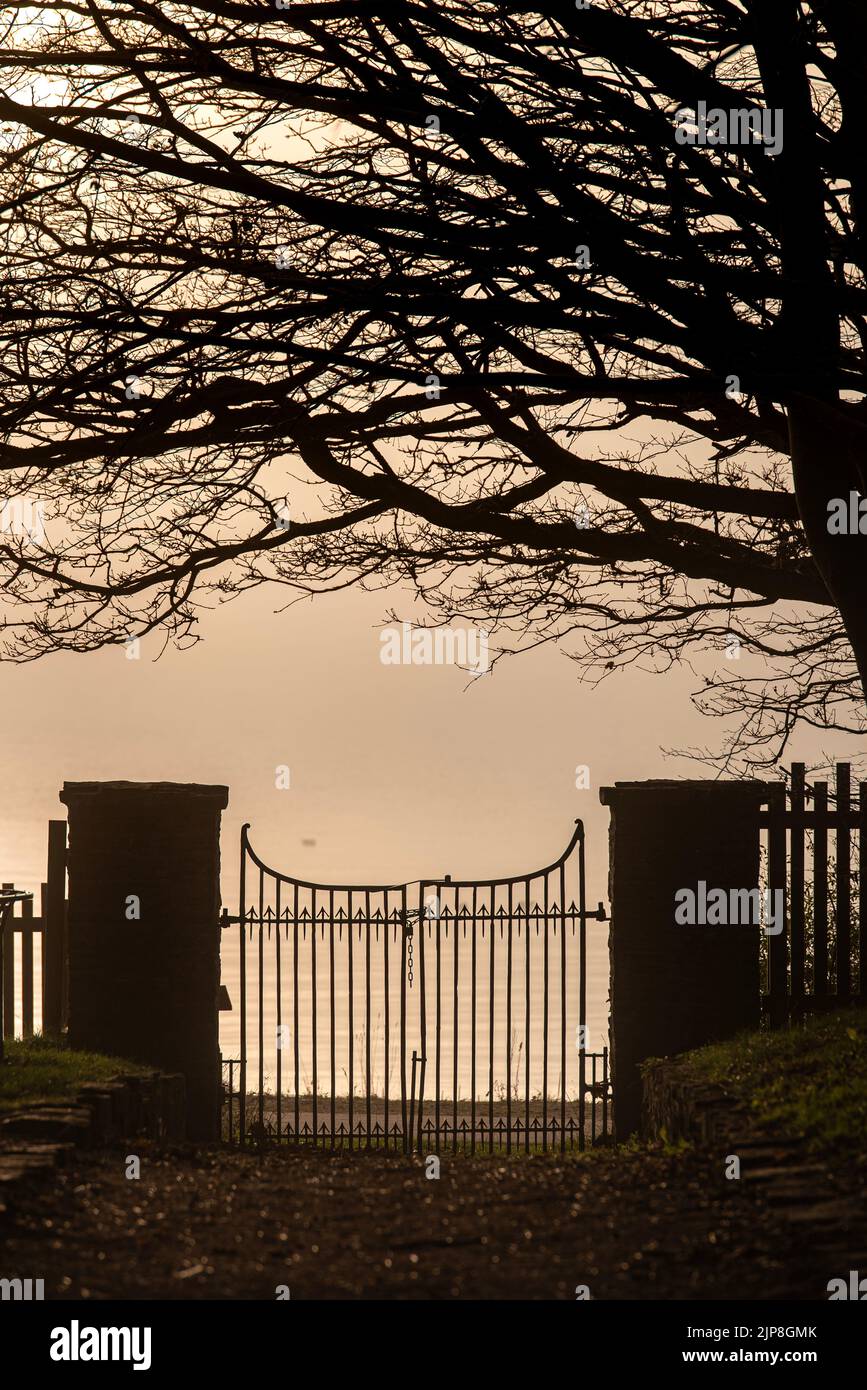 Old, metal gate by the sea with bare tree in a surreal atmosphere. Spooky port by the ocean at dusk conveys terror or sad feelings. Horror concept Stock Photo