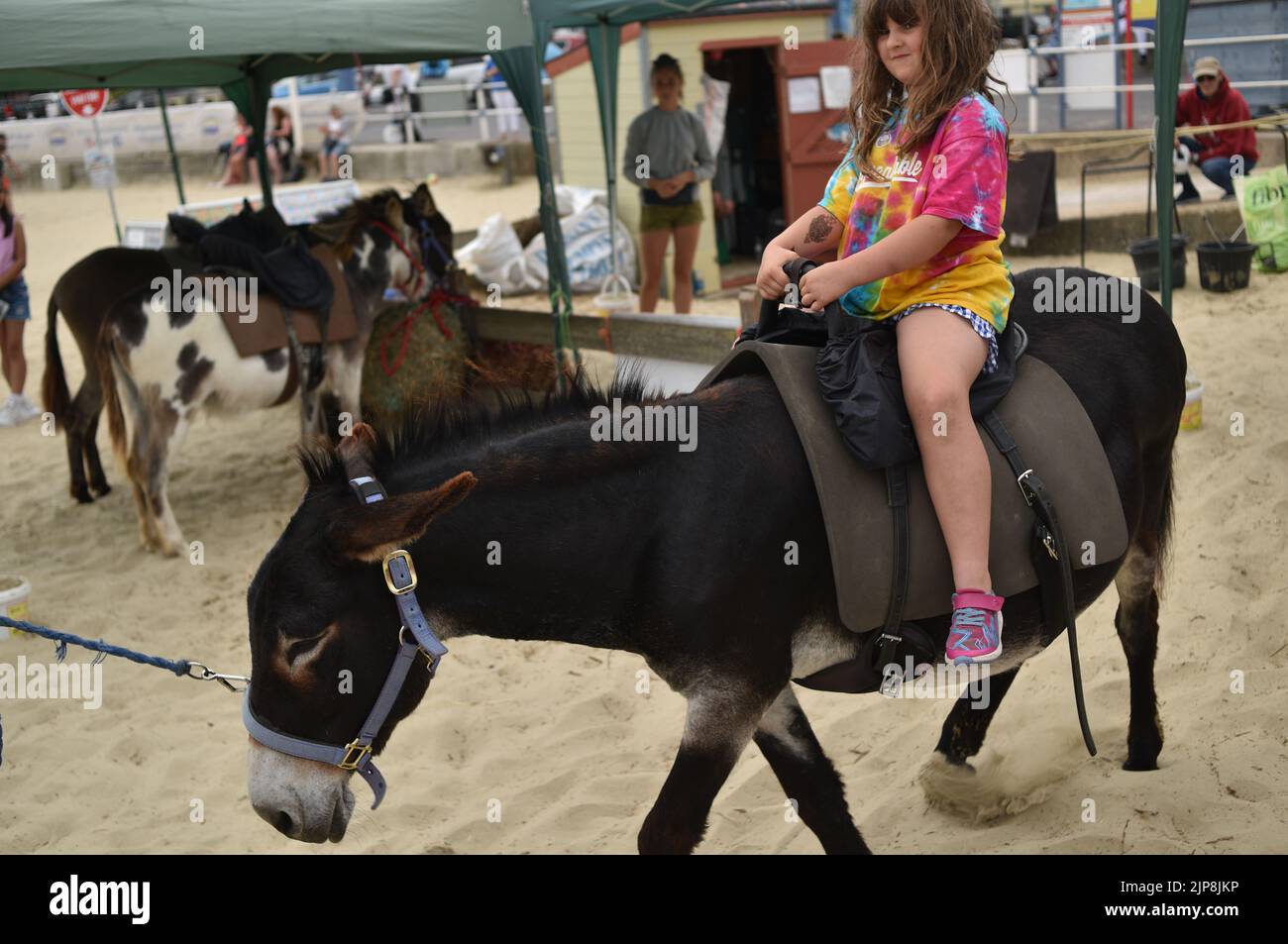 5 year old Ava Cunard [photographer's daughter] enjoys a donkey ride @ Weymouth Beach, Dorset UK Stock Photo