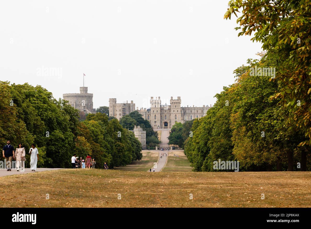 Windsor, UK. 15th August, 2022. Members of the public walk between areas of sun-bleached grass alongside the Long Walk in front of Windsor Castle. Fiv Stock Photo