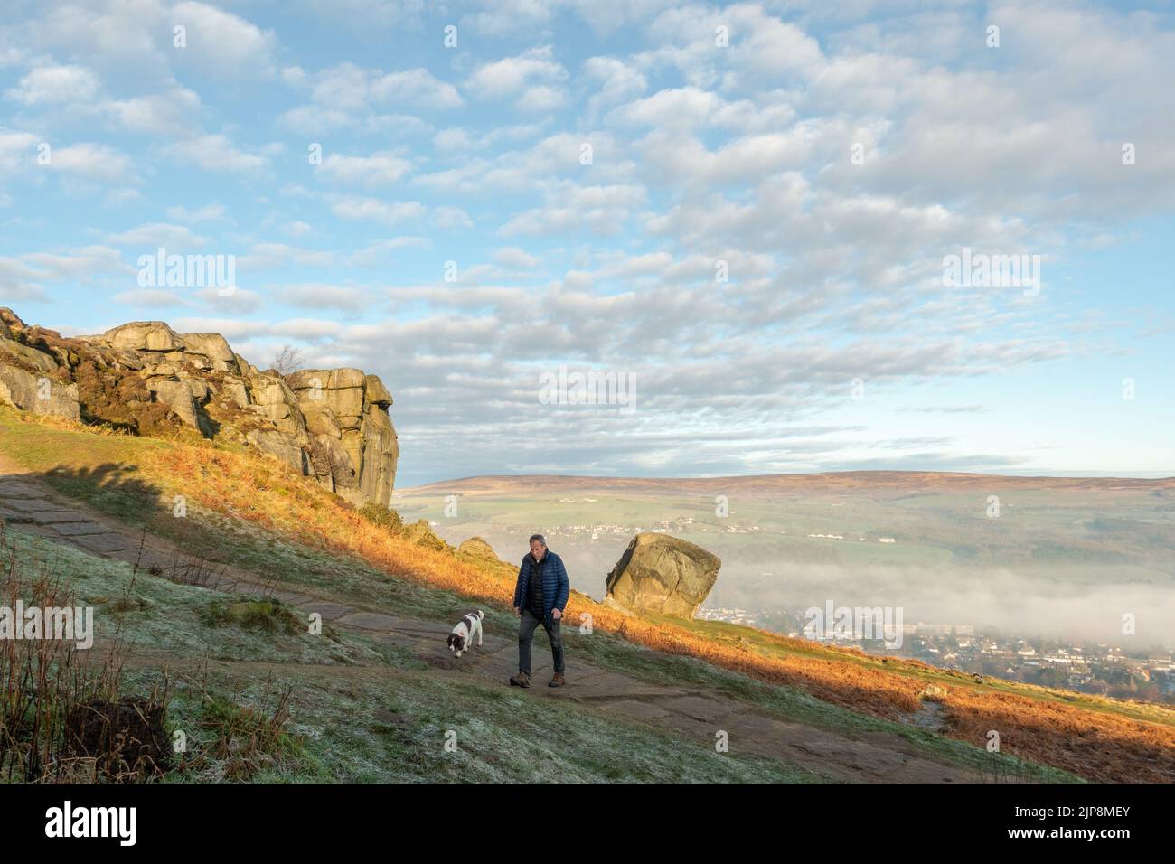 Dog walker walking his spaniel at the Cow and Calf Rocks on Ilkley Moor just after sunrise with mist in the valley, West Yorkshire, England, UK Stock Photo