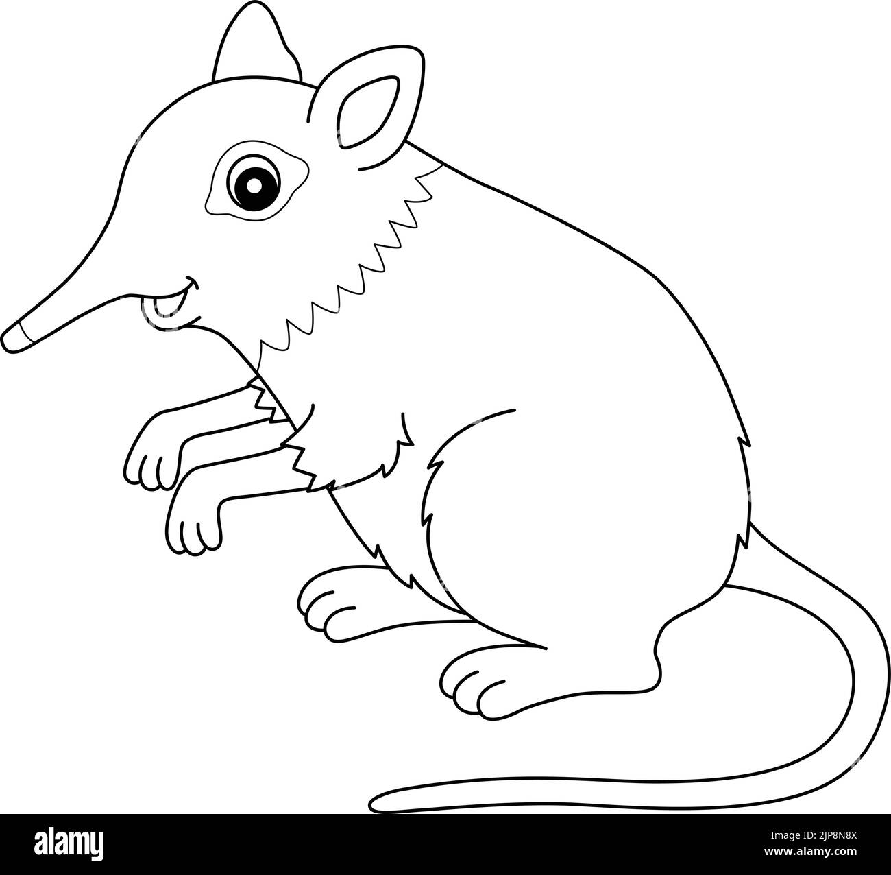 Elephant Shrew Animal Isolated Coloring Page Stock Vector
