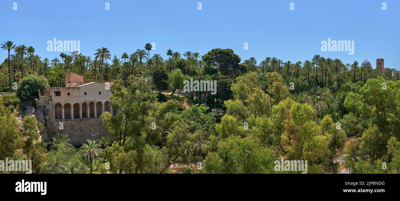 Molí del real and the Basilica Santa maria between palm trees. Located in Valencian community, Alicante,Elche, Spain. Stock Photo