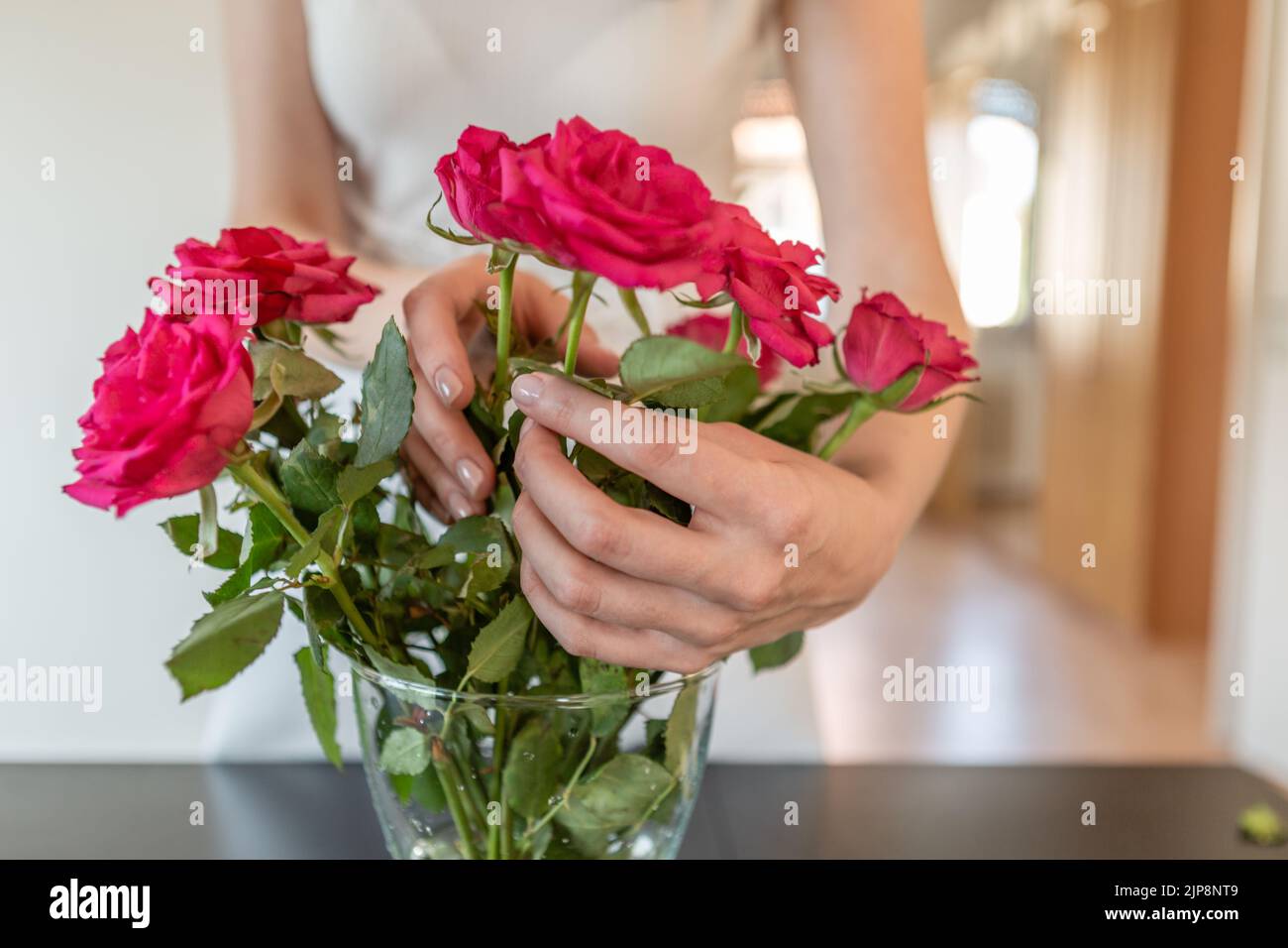 Woman hands taking care of a rose bouquet. Stock Photo