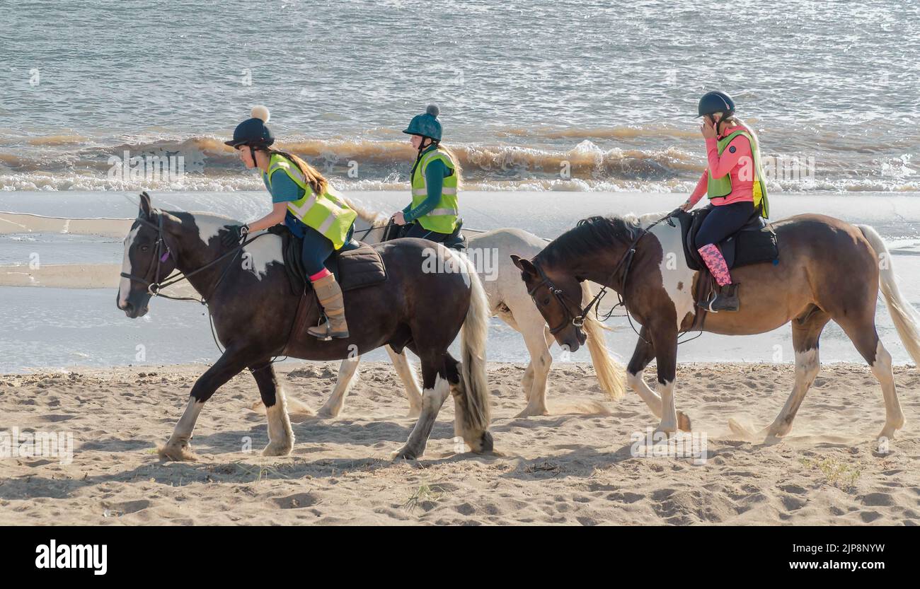 Three horse riders on the beach Stock Photo
