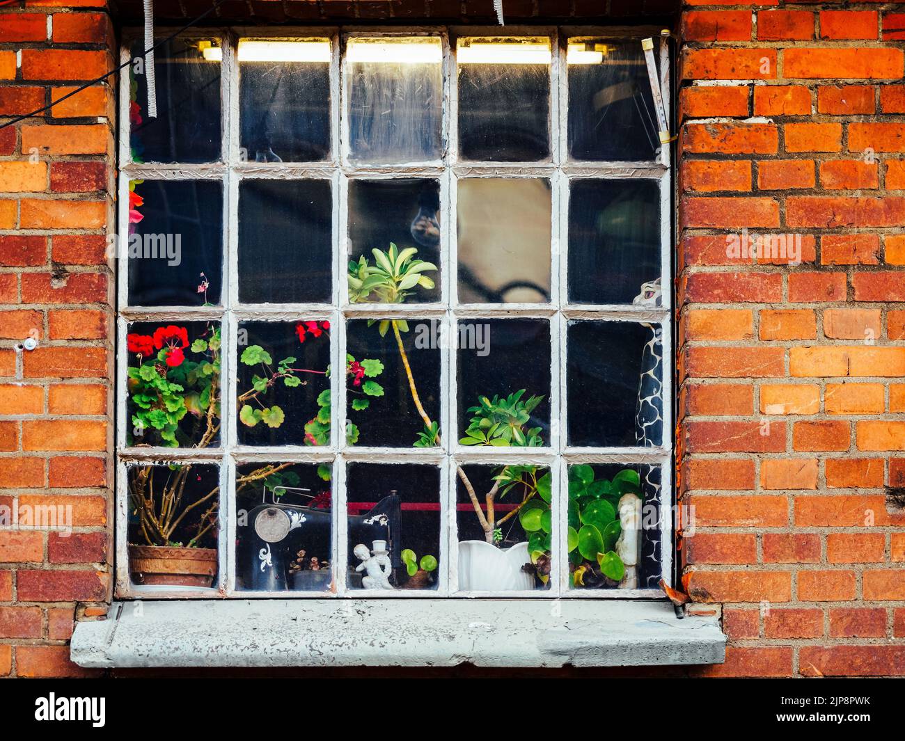 old wooden window frame in brick wall. behind the window a lot of house