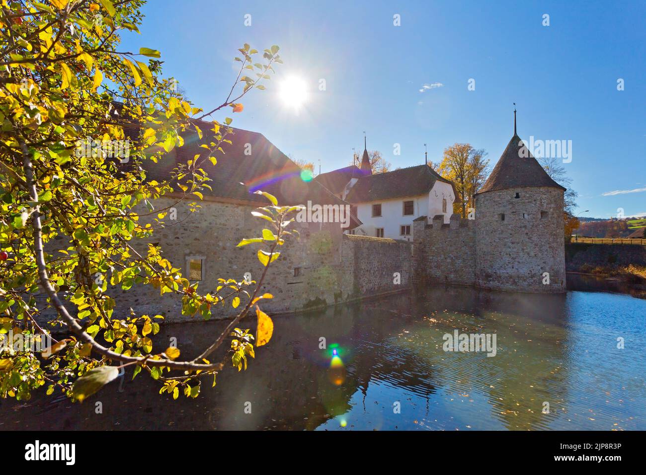 Hallwyl Water Castle during autumn, Lake Hallwil, Aargau, Switzerland, Europe Stock Photo