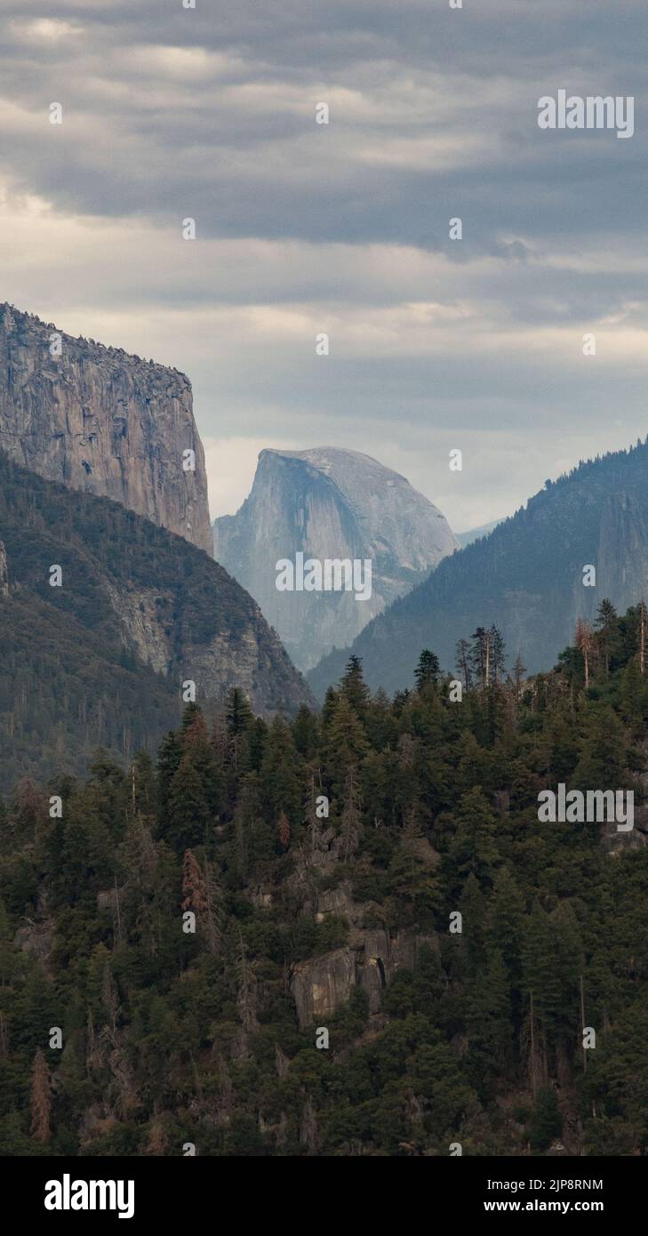 https://c8.alamy.com/comp/2JP8RNM/a-vertical-shot-of-the-half-dome-in-yosemite-national-park-with-gray-cloudy-sky-and-thick-forests-in-front-2JP8RNM.jpg