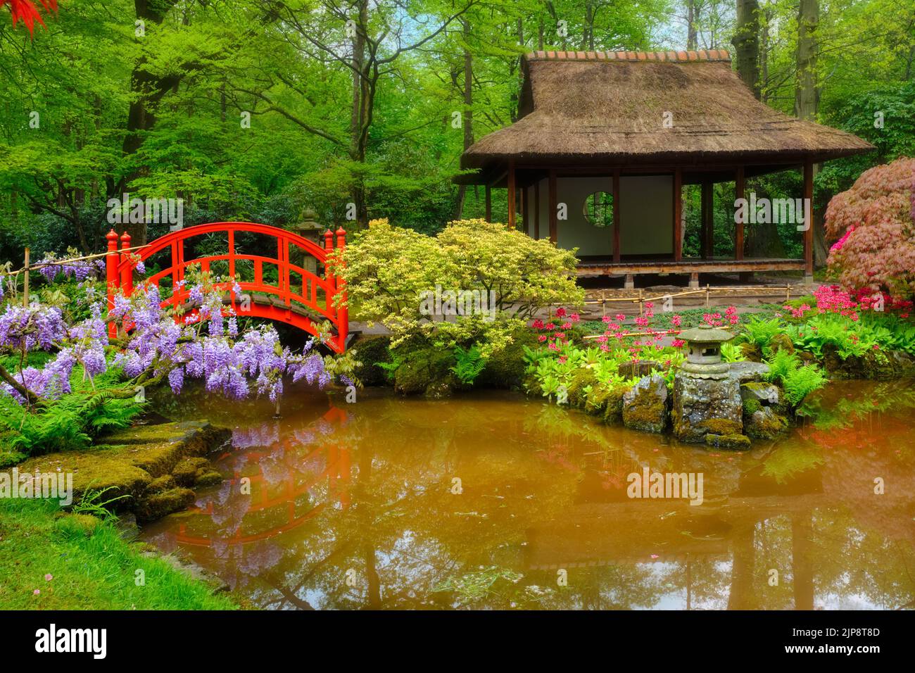 park, japanese garden, landgoed clingendael, parks, japanese, japanese