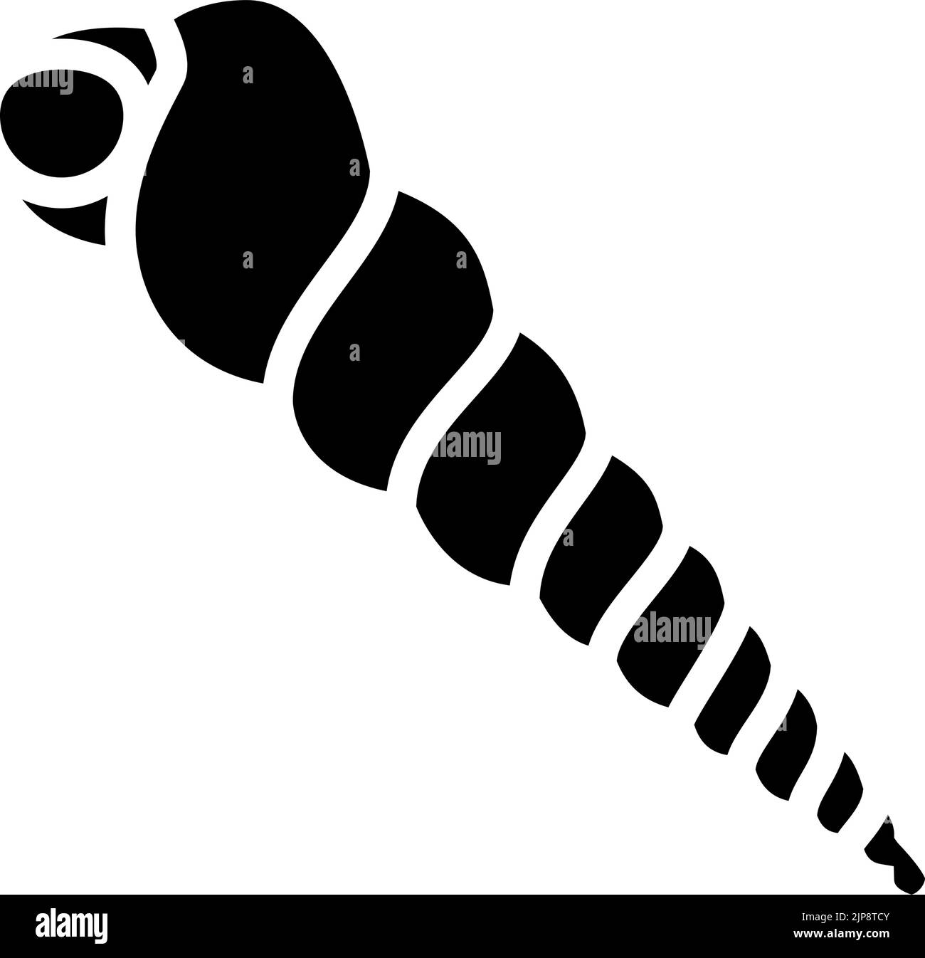 Turritella Black and White Stock Photos & Images - Alamy
