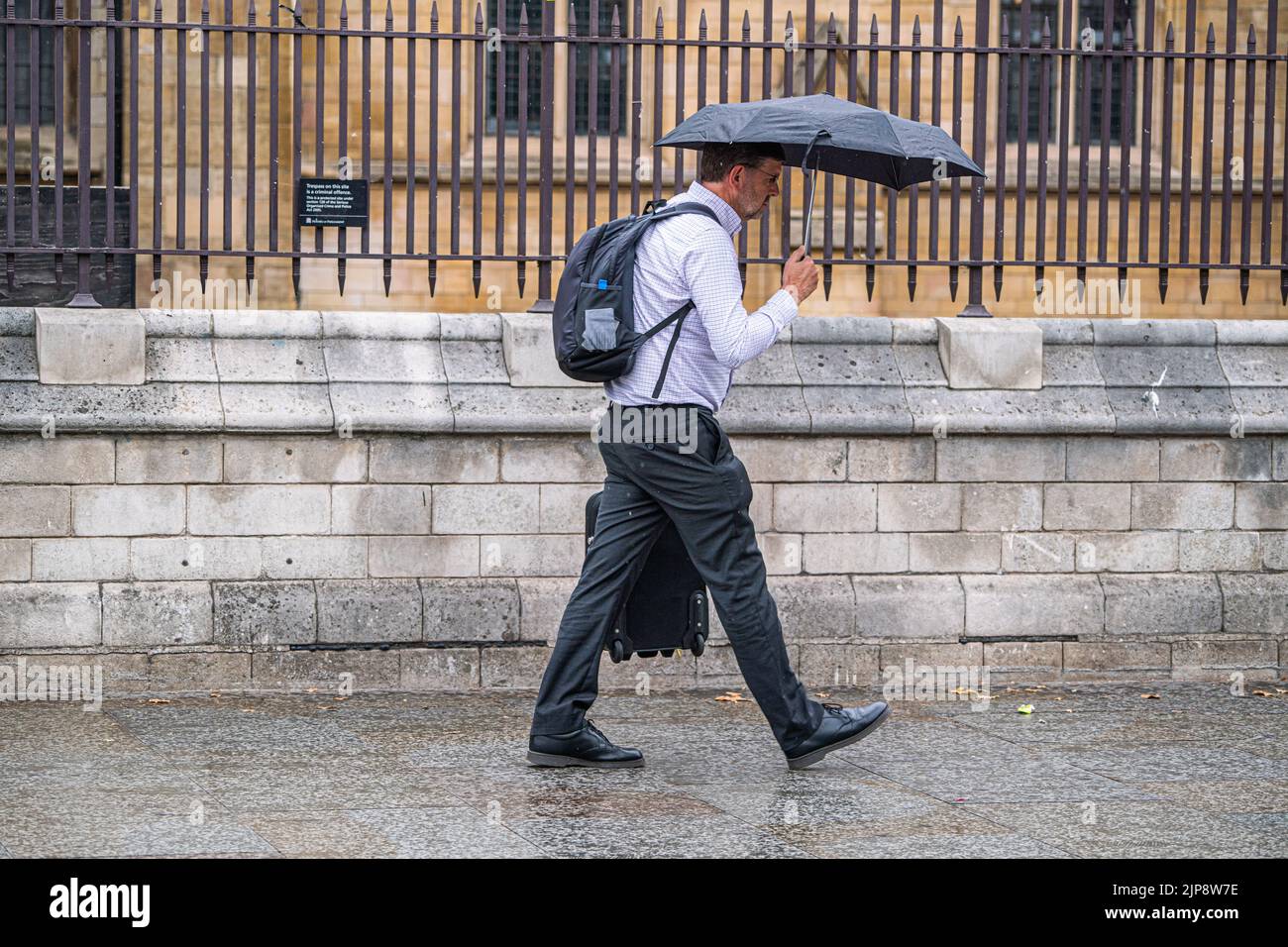 Westminster London, UK. 16 August 2022 . A pedestrian shelters with an umbrella as he walks outside parliament  during rain showers as the drought ends  after the prolonged dry spell and the driest summer in 46 years as the met office issues a yellow warning for thunderstorms and flash floods . Credit. amer ghazzal/Alamy Live News Stock Photo