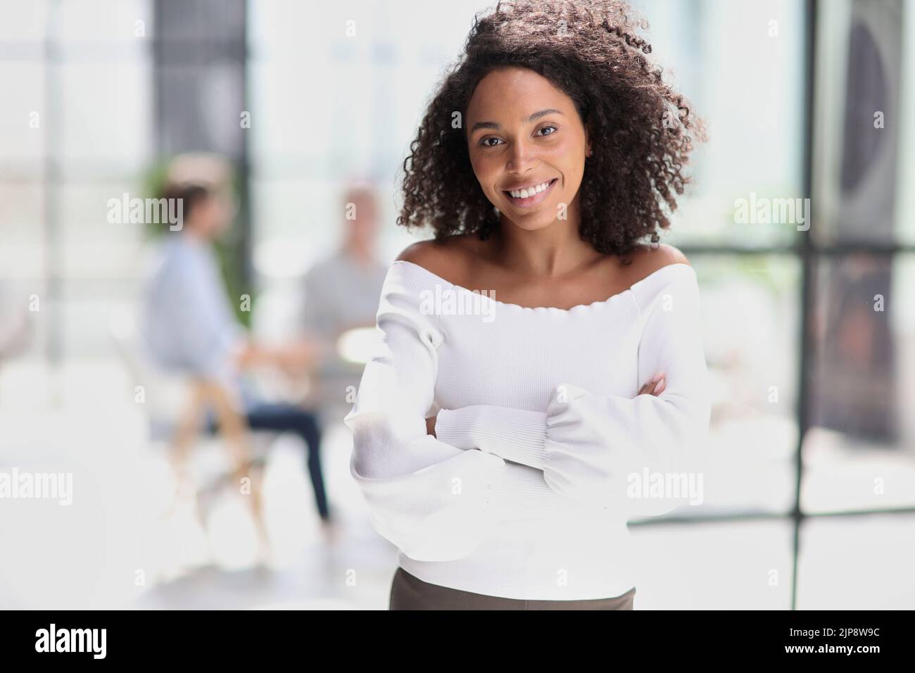 Portrait of an African American young business woman working in the ...