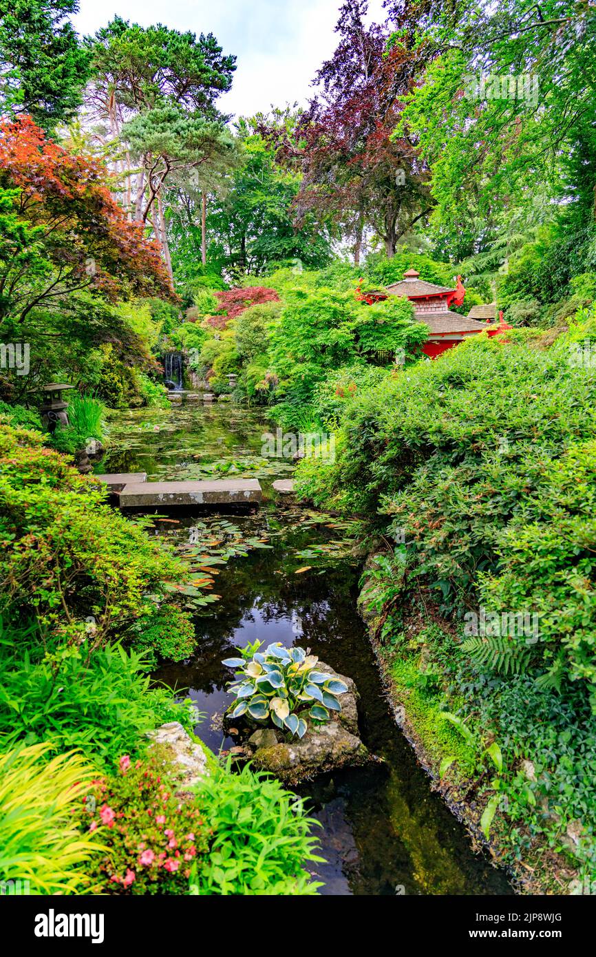 The Japanese Garden at Compton Acres Gardens, Poole, Dorset, England, UK Stock Photo