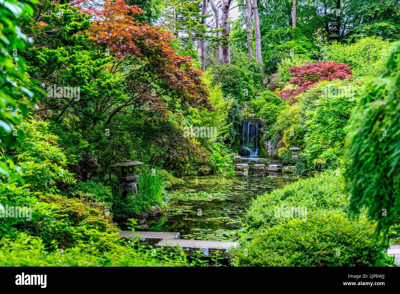 The Japanese Garden at Compton Acres Gardens, Poole, Dorset, England