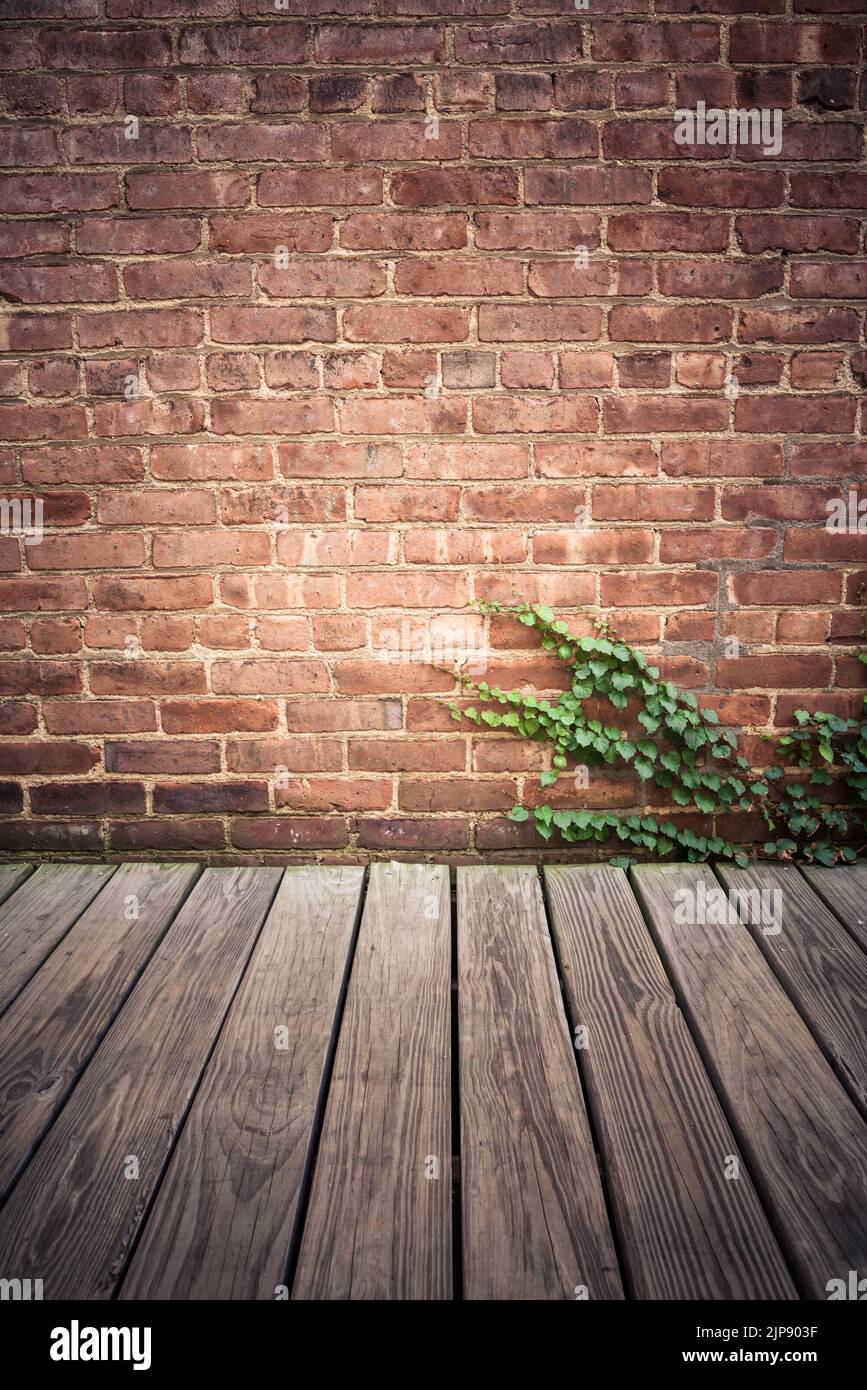 Backdrop image of Brick exterior wall with wood floor and creepy green ivy vine. Stock Photo