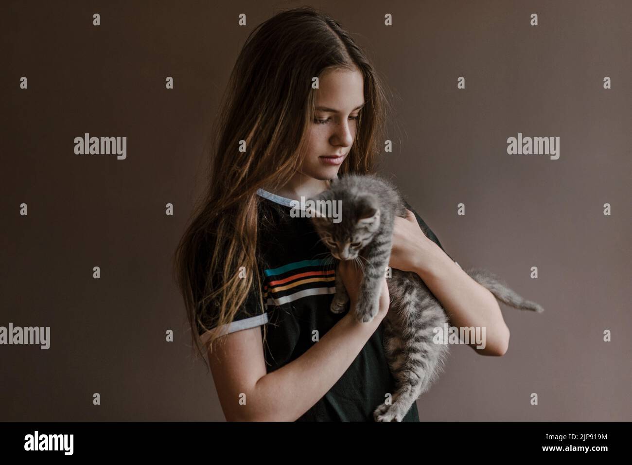 teenager, pets, kittens, animal loving, teen, teenage, teenagers, teens, pet, kitten Stock Photo