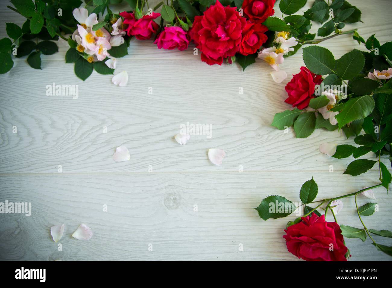 beautiful background of many red roses on a light wooden Stock Photo ...