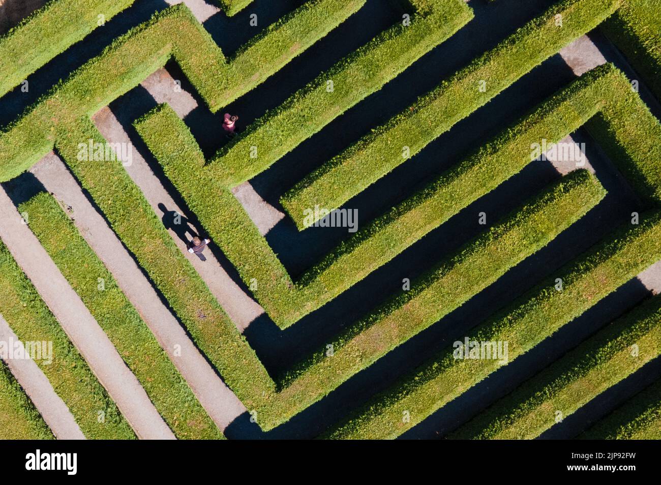 Kleinwelka, Germany. 16th Aug, 2022. Visitors walk in the maze between the evergreen thuja hedge plants. The maze near Bautzen celebrates its 30th anniversary in 2022. (Aerial view with a drone) Credit: Sebastian Kahnert/dpa/Alamy Live News Stock Photo