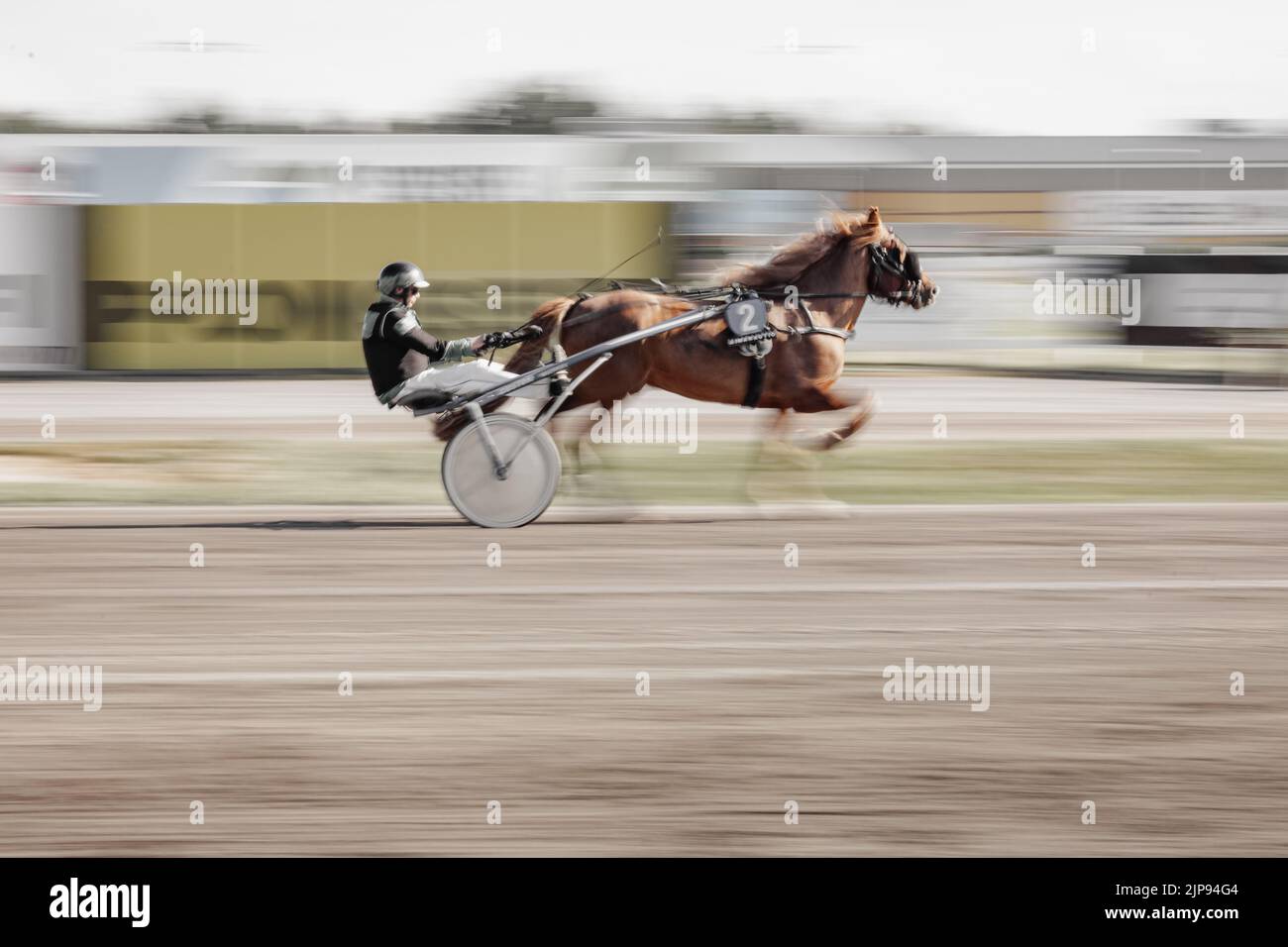 Side view horse racing hi-res stock photography and images - Alamy