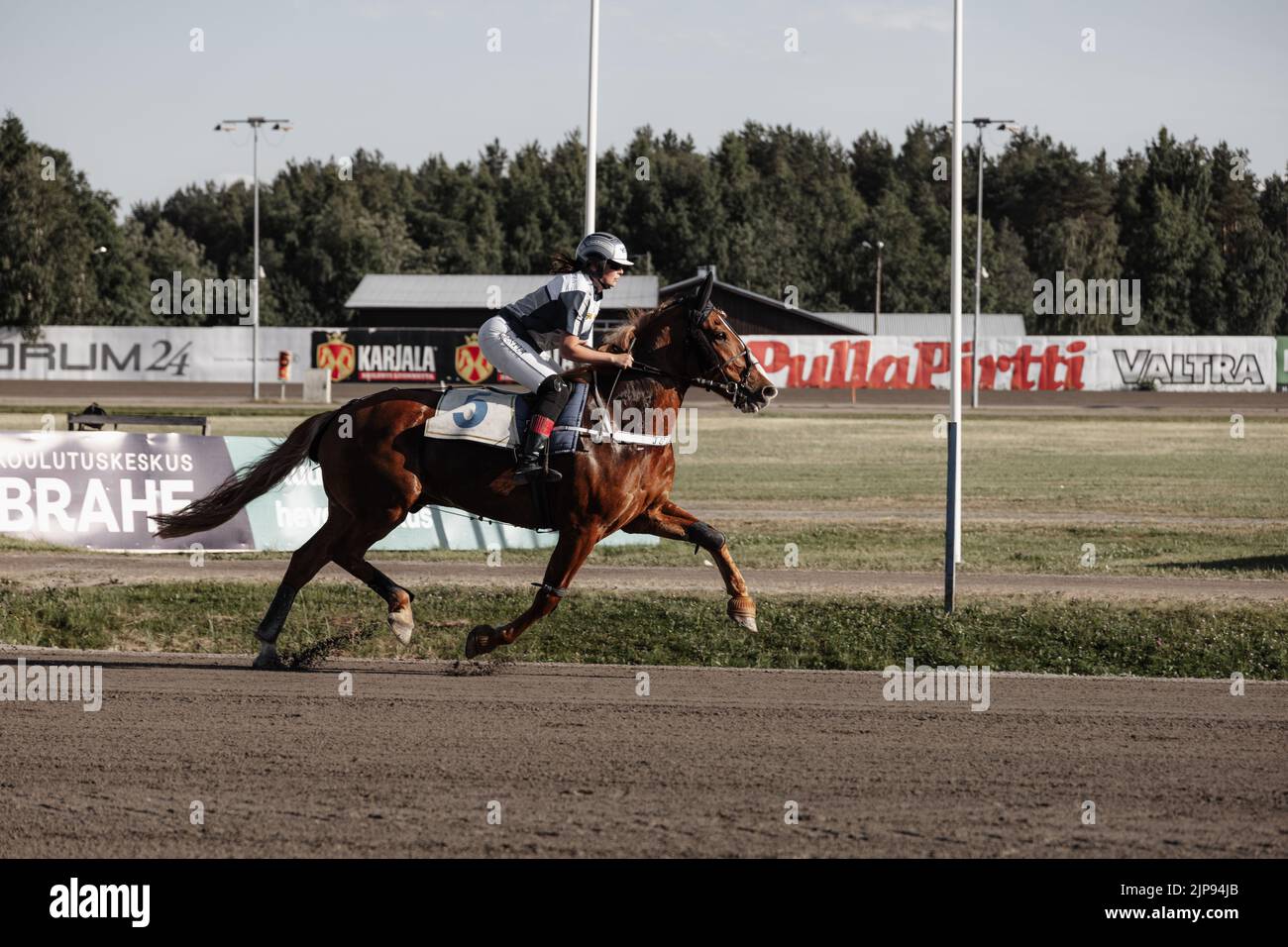 Side view horse racing hi-res stock photography and images - Alamy