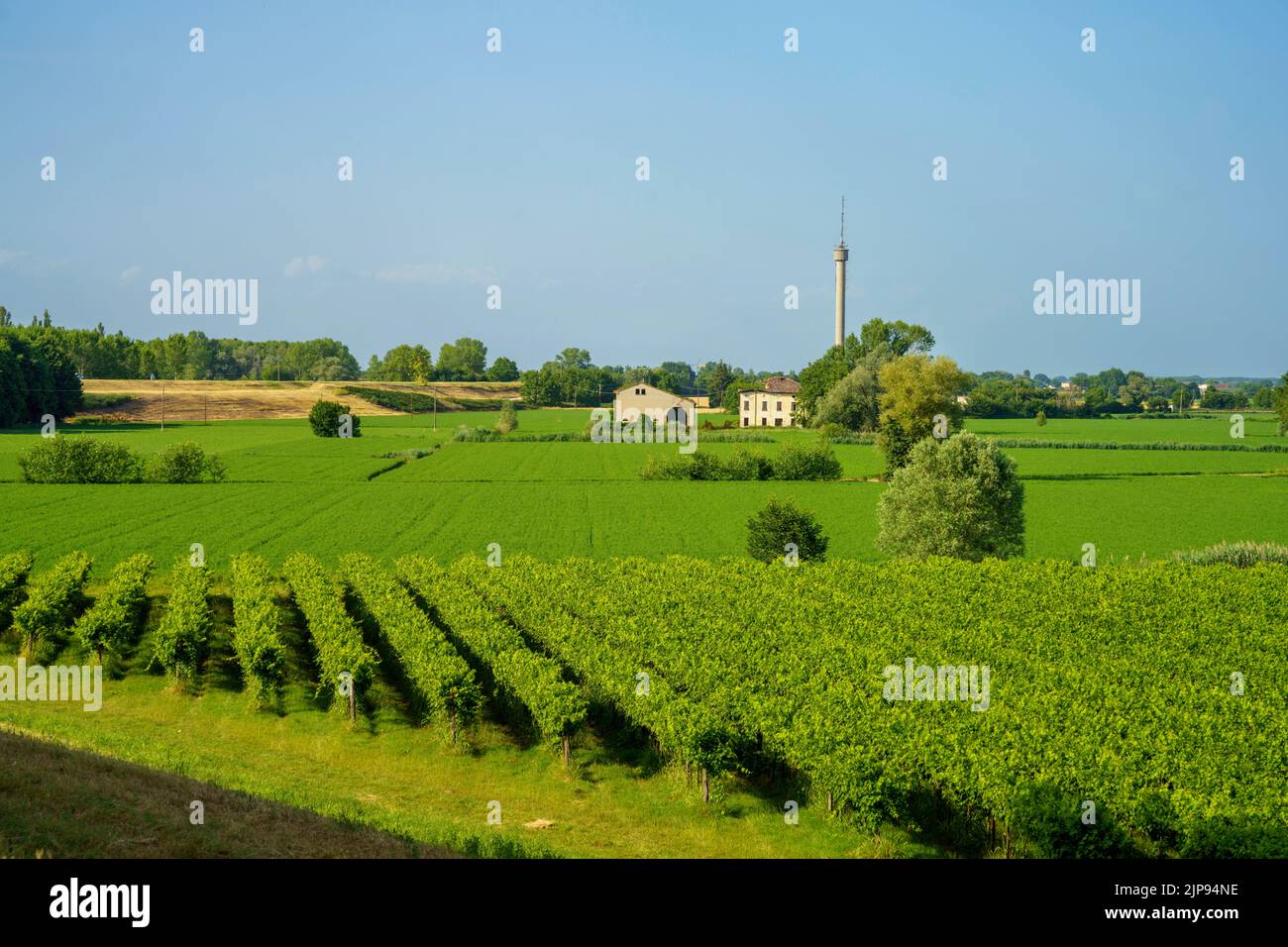 Rural landscape near Suzzara, in Mantua province, Lombardy, Italy at summer Stock Photo