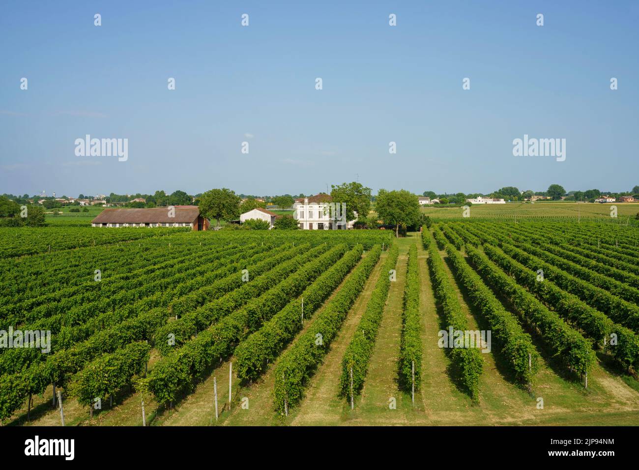 Rural landscape near Suzzara, in Mantua province, Lombardy, Italy at summer Stock Photo