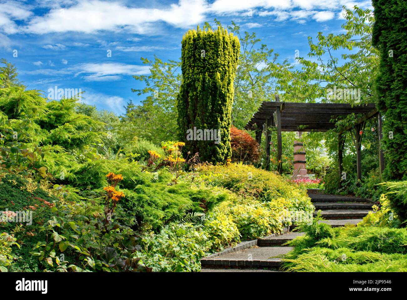 PERTH CITY SCOTLAND RODNEY GARDENS PATHWAY AND STEPS LEADING TO AN