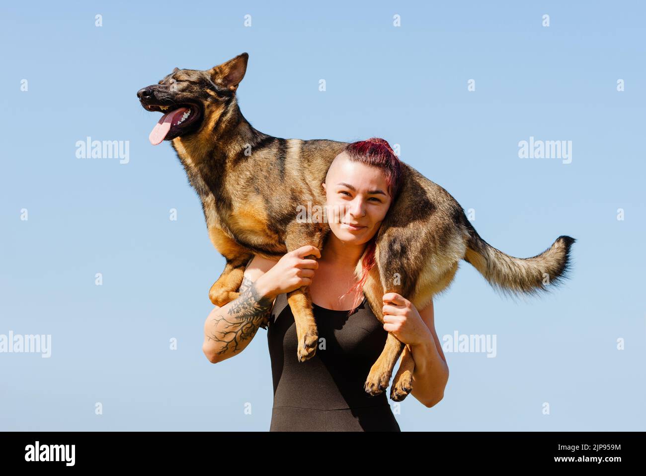 Dog being carried hi-res stock photography and images - Alamy