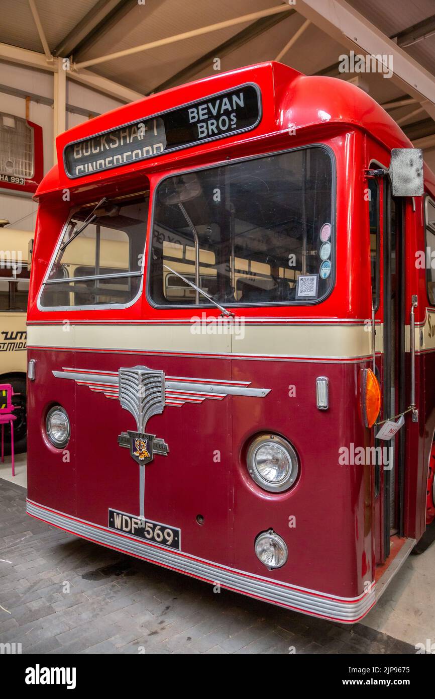 Vintage buses on display at The Transport Museum in Wythall, Worcestershire, England. Stock Photo