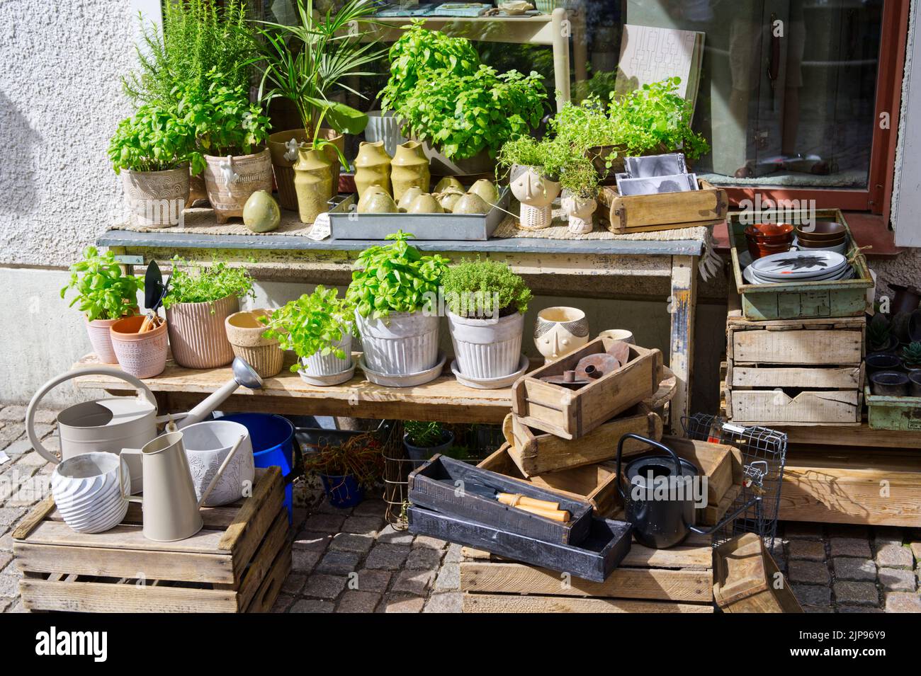 Green flowers stall gardening old fashioned style stylish serving Stock Photo