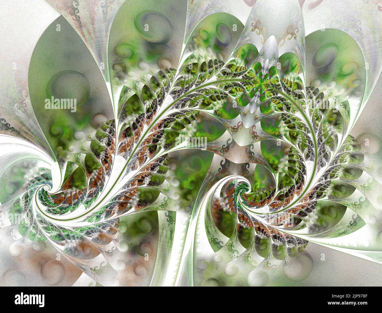 Beautiful fractal floral art. Computer generated graphics. Abstract ...