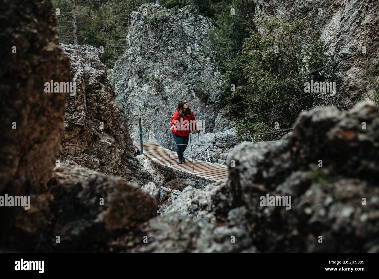 hiking, suspension bridge, hike, suspension bridges, hikes Stock Photo