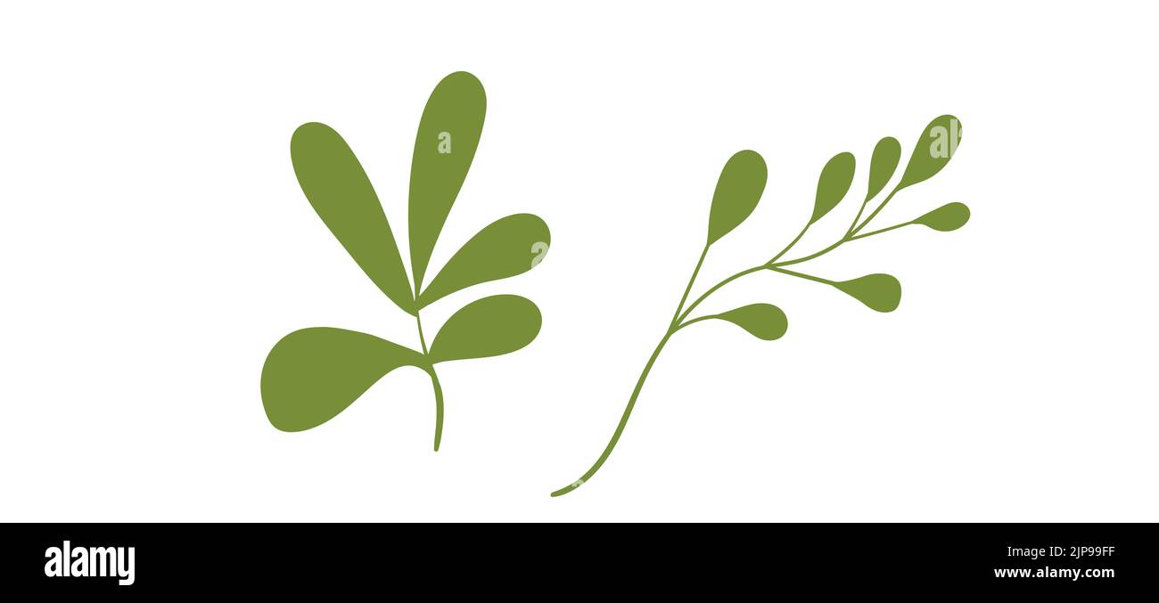 Floral set hand drawn green color leaves. Cute isolated elements. Clip art for stationery, web design. Modern floral compositions. Vector illustration Stock Vector