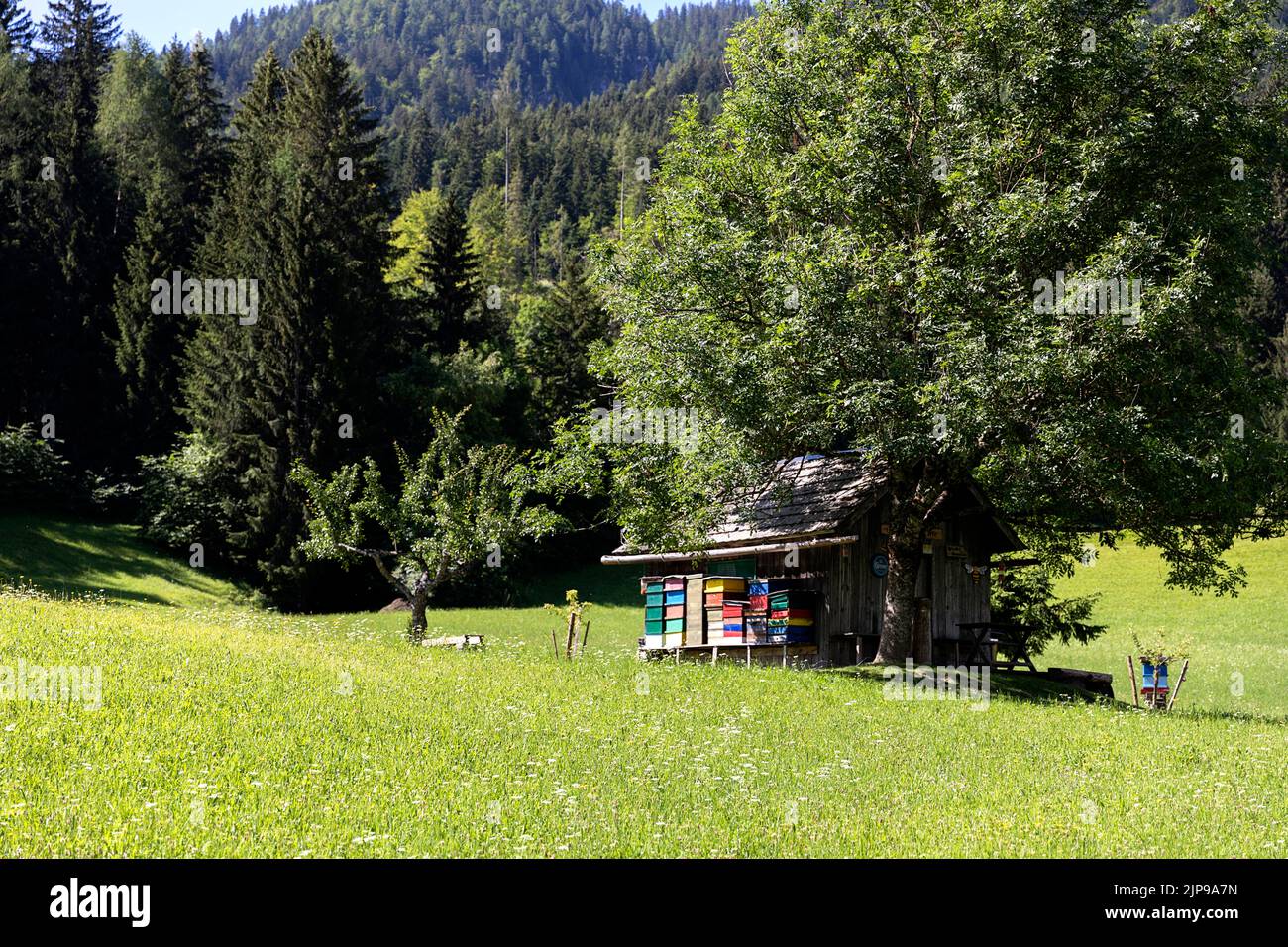 Large beehive with painted panels near Weissensee lake in Carinthia, Austria Stock Photo