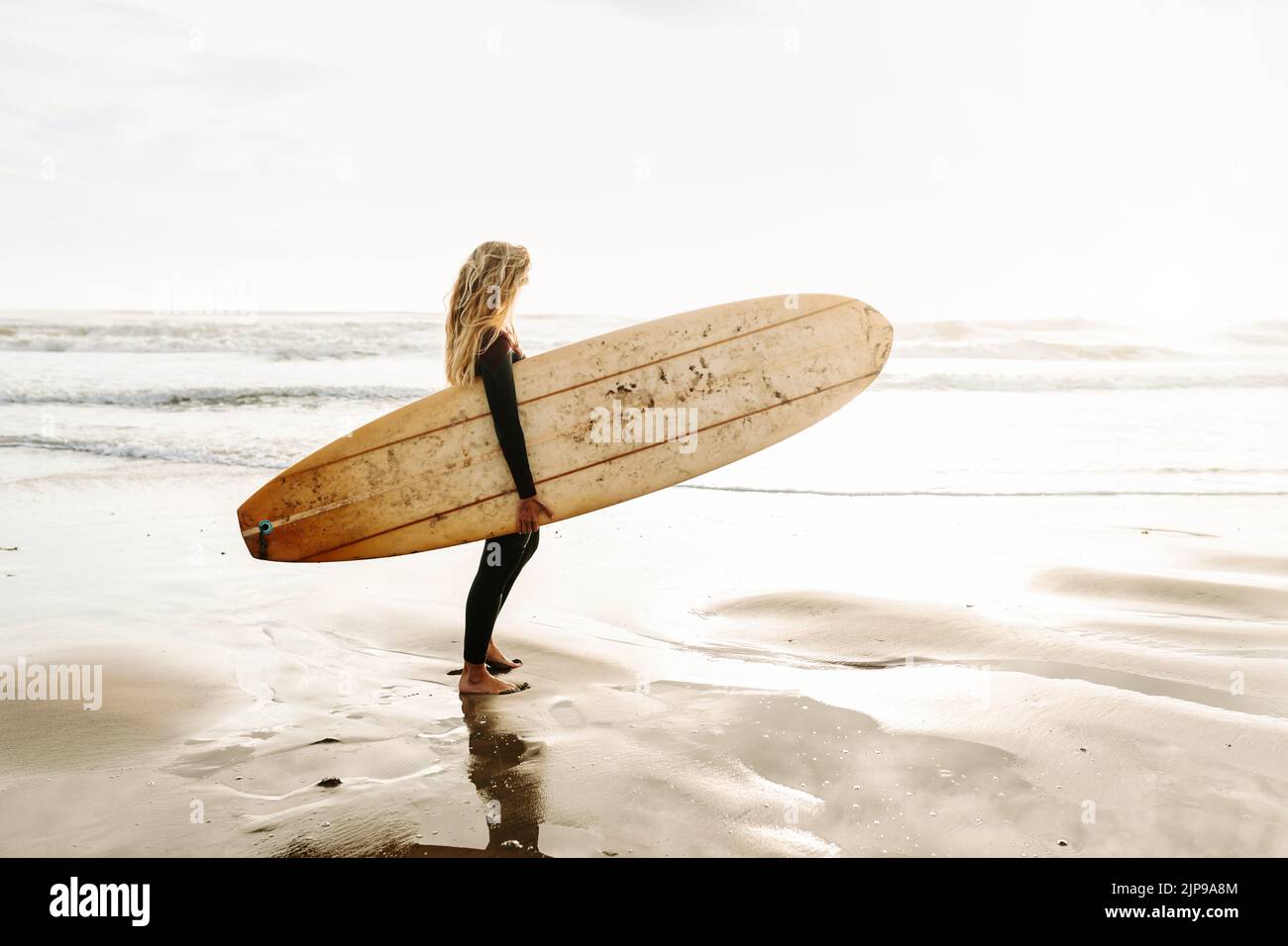 surfing, surfboard, surfer, surfboards, surfers Stock Photo Alamy