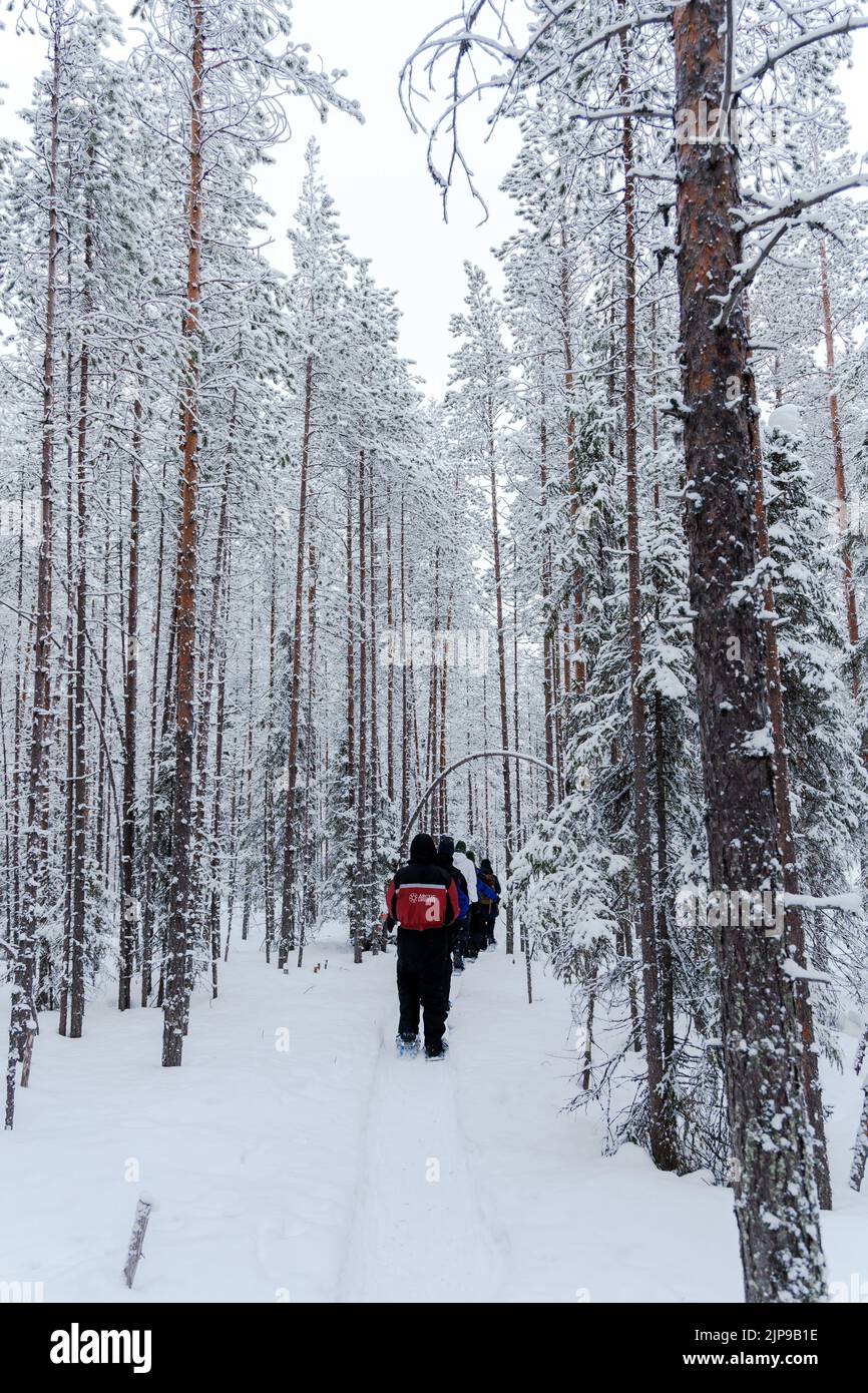 Walking through snowy forest hi-res stock photography and images - Alamy