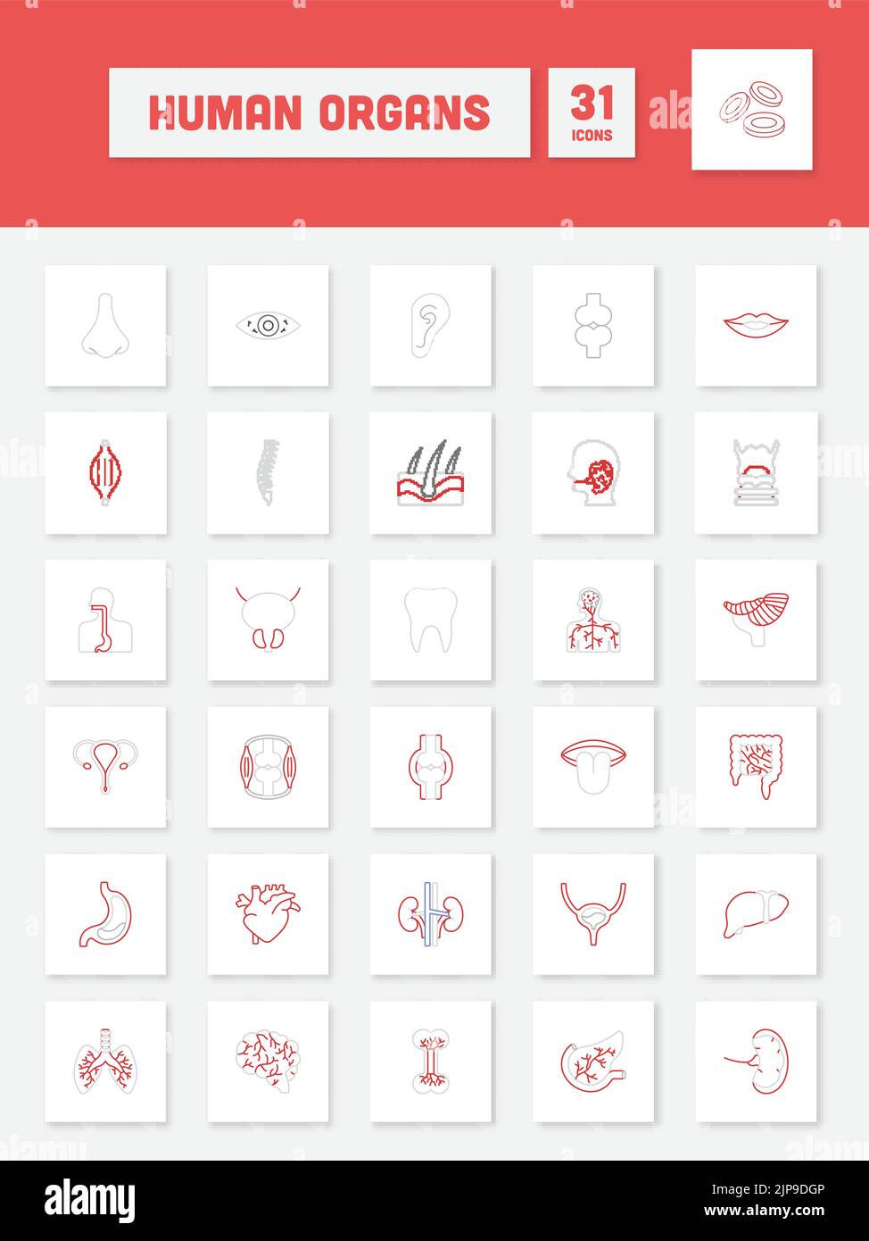 Grey And Red Linear Style Human Organ Square Icon Set Stock Vector ...