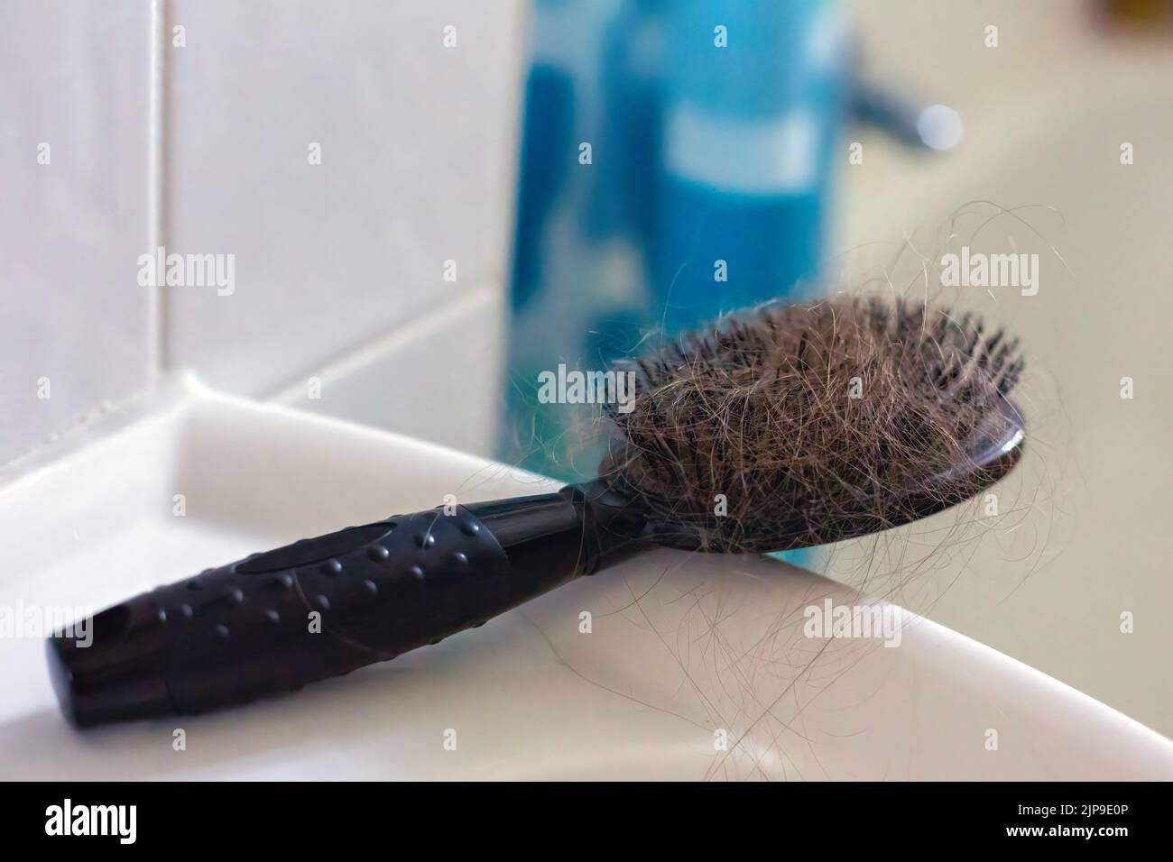 close-up of hairbrush with lots of hair Stock Photo