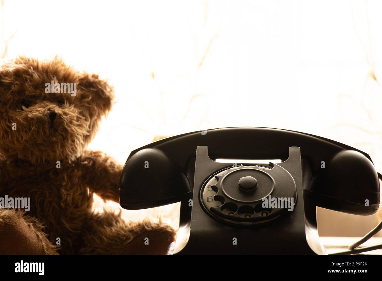 Bear telephone telephone hi-res stock photography and images - Alamy